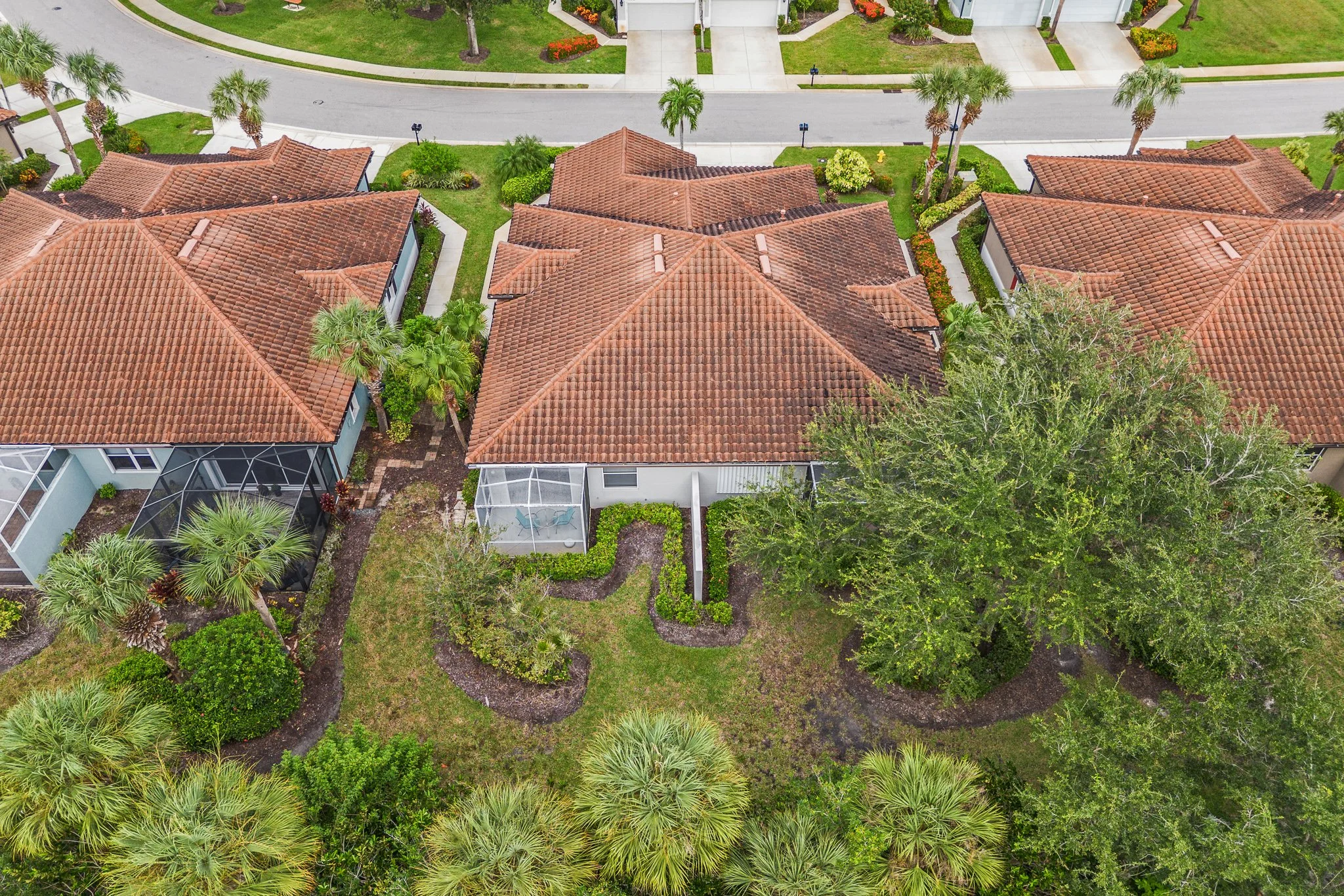 DJI_0036.jpg