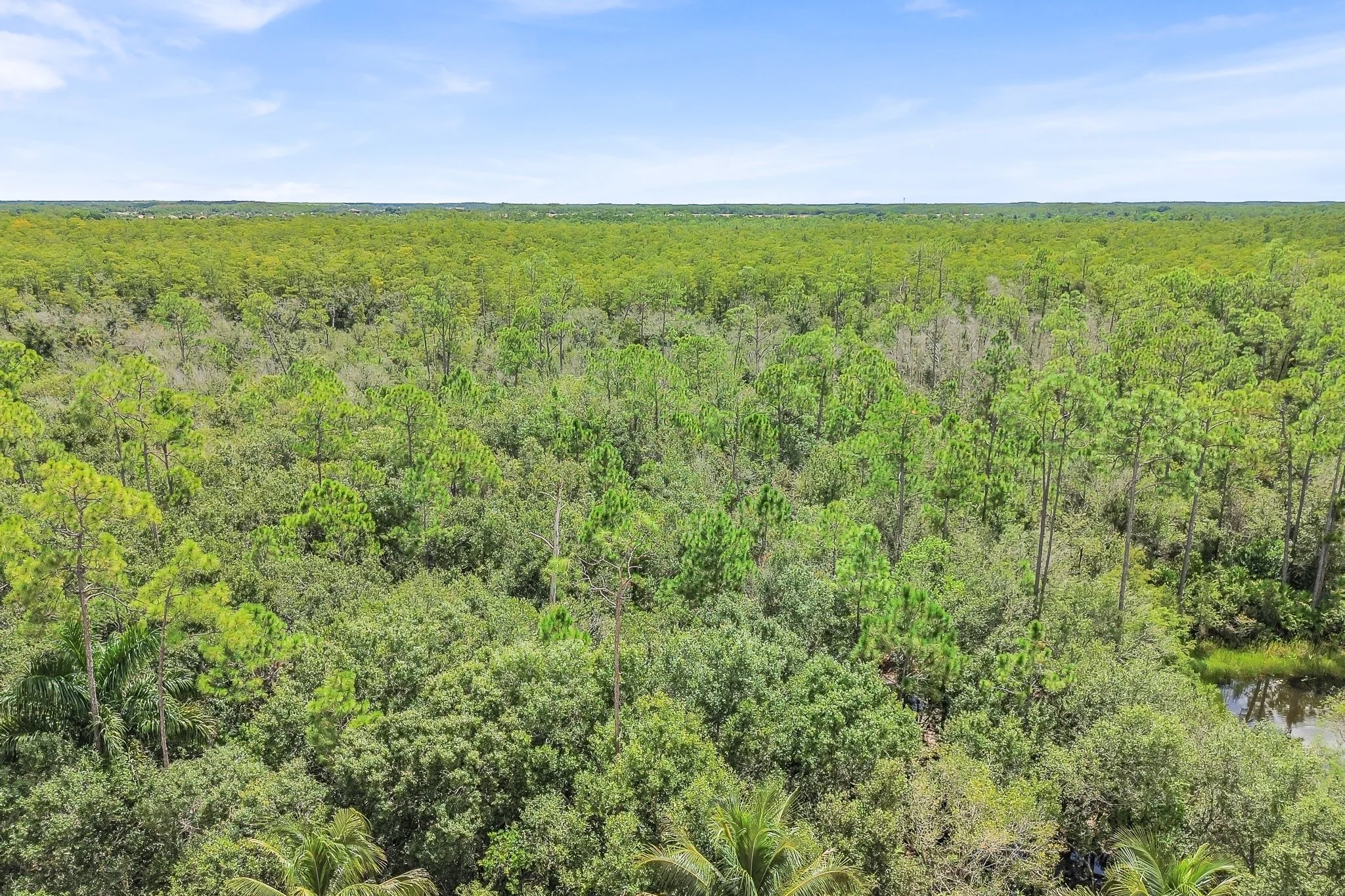 DJI_0022.jpg