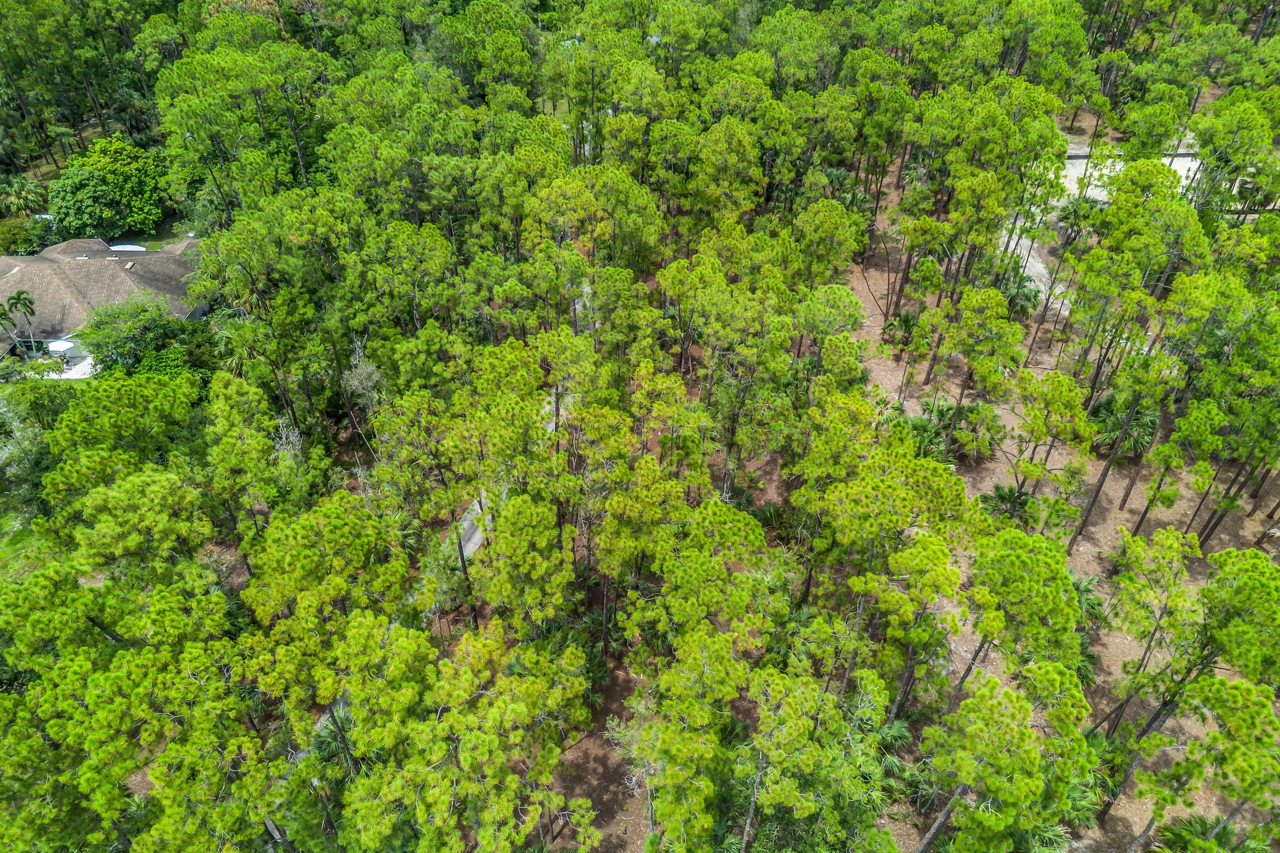 DJI_0008.jpg