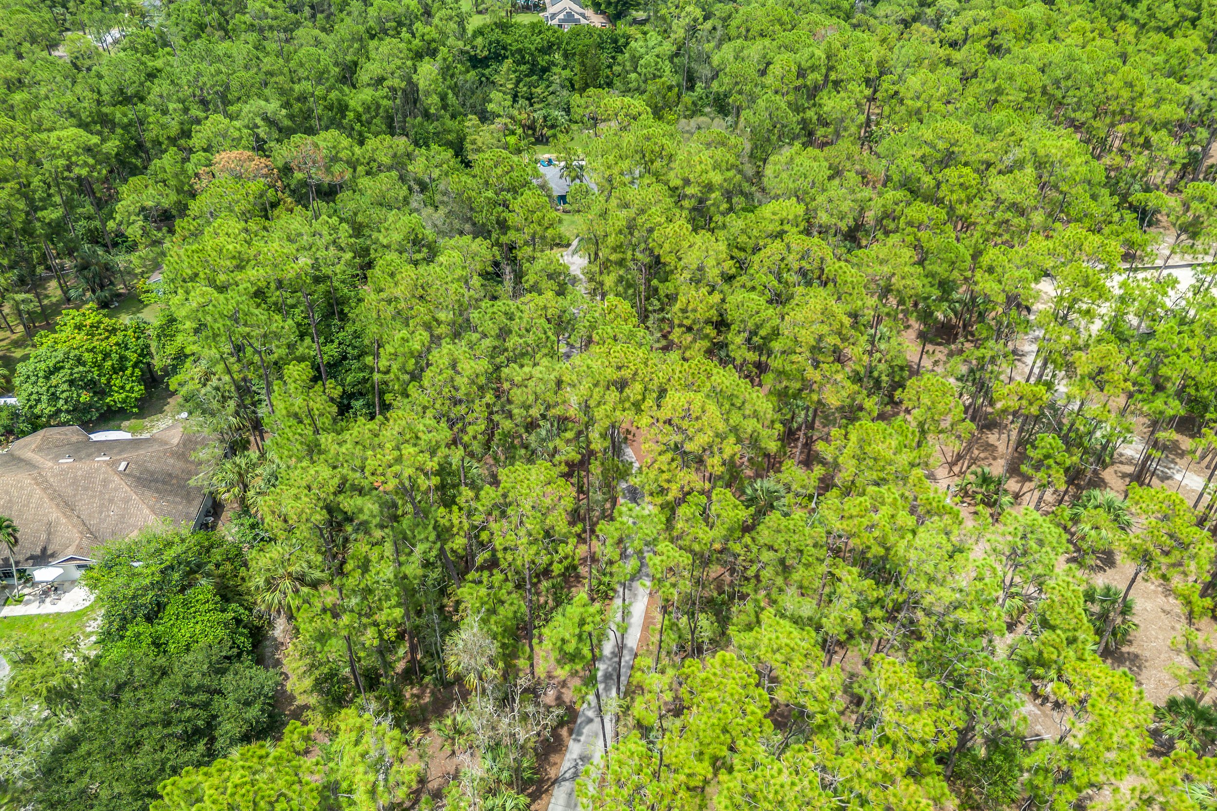 DJI_0031.jpg