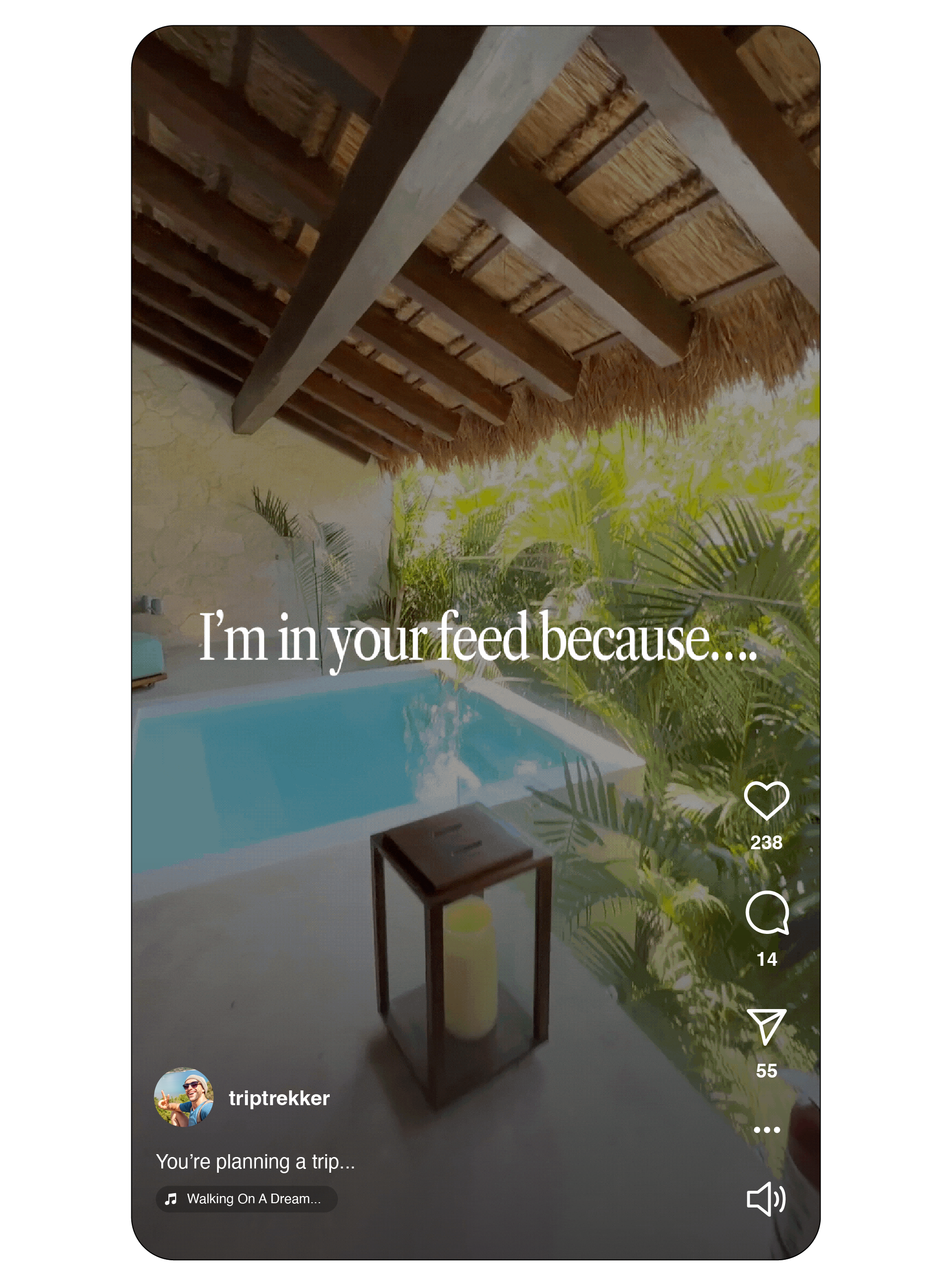 In Your Feed Reel