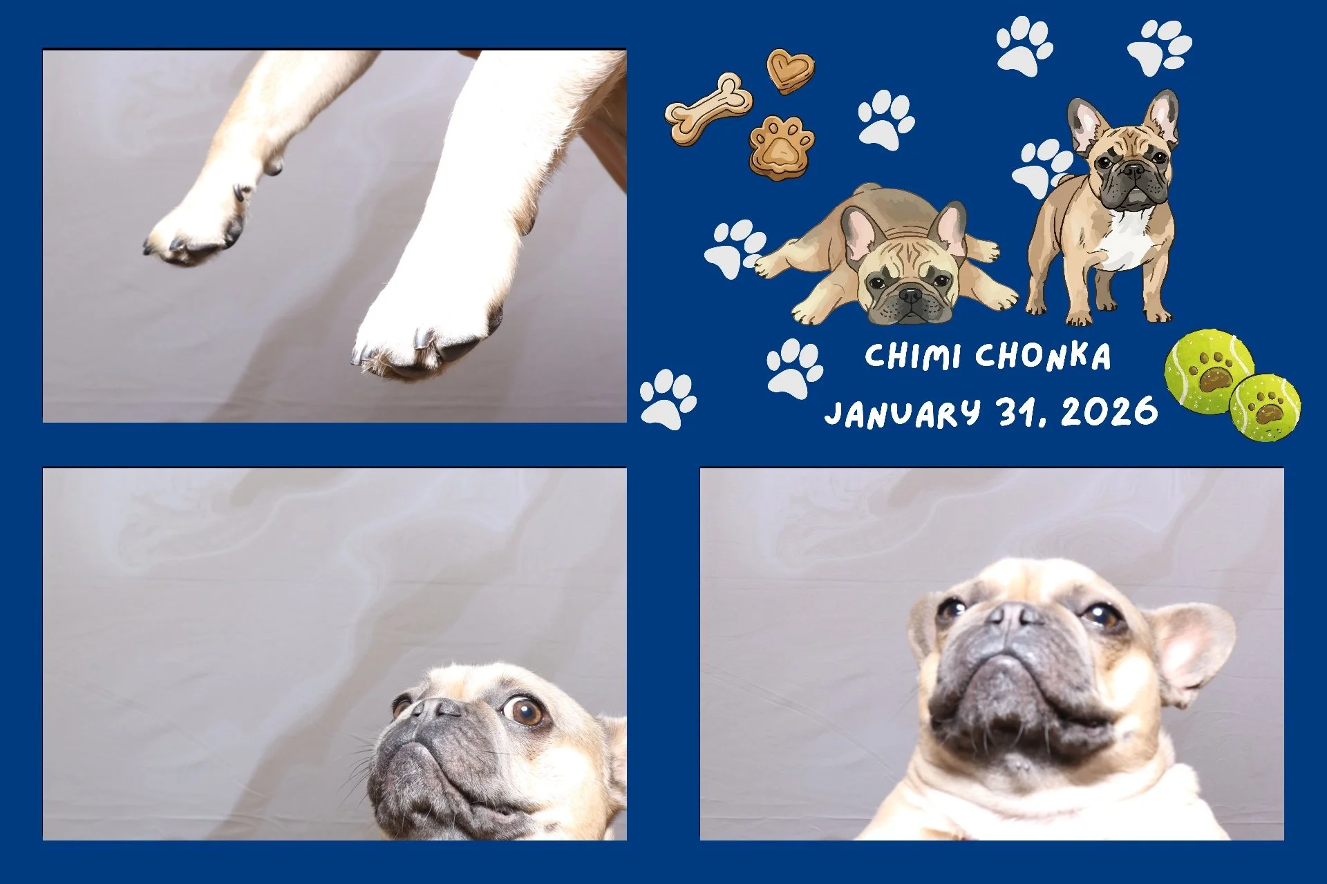 Jan 31 2026 - Duy's Birthday