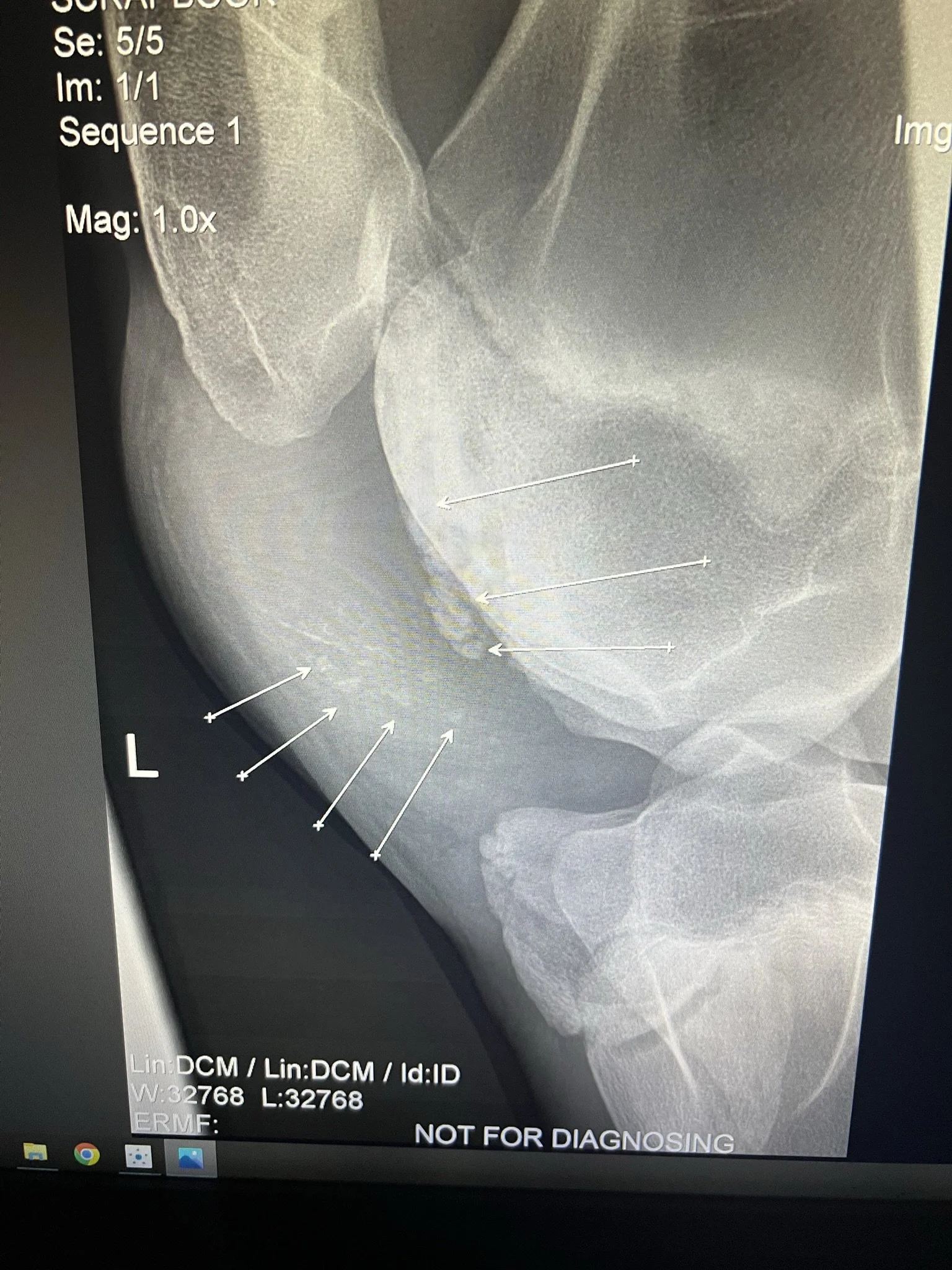 X-ray image of a left stifle showing bones and joint, with arrows pointing to specific regions.