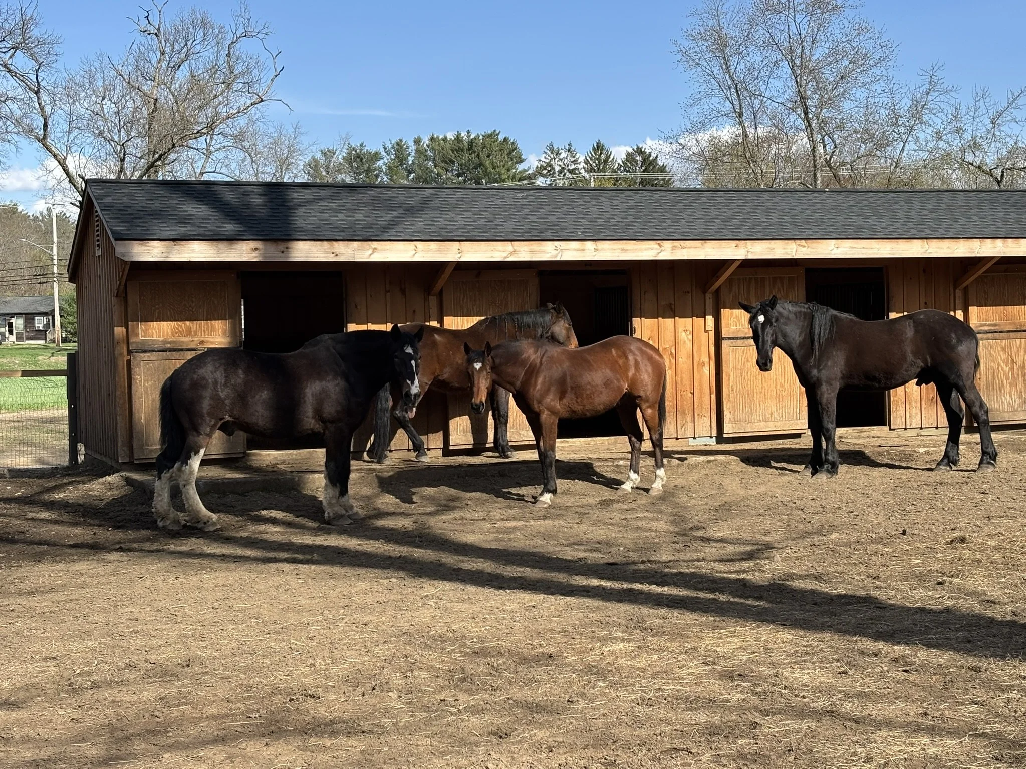 Private Groups for Organizations