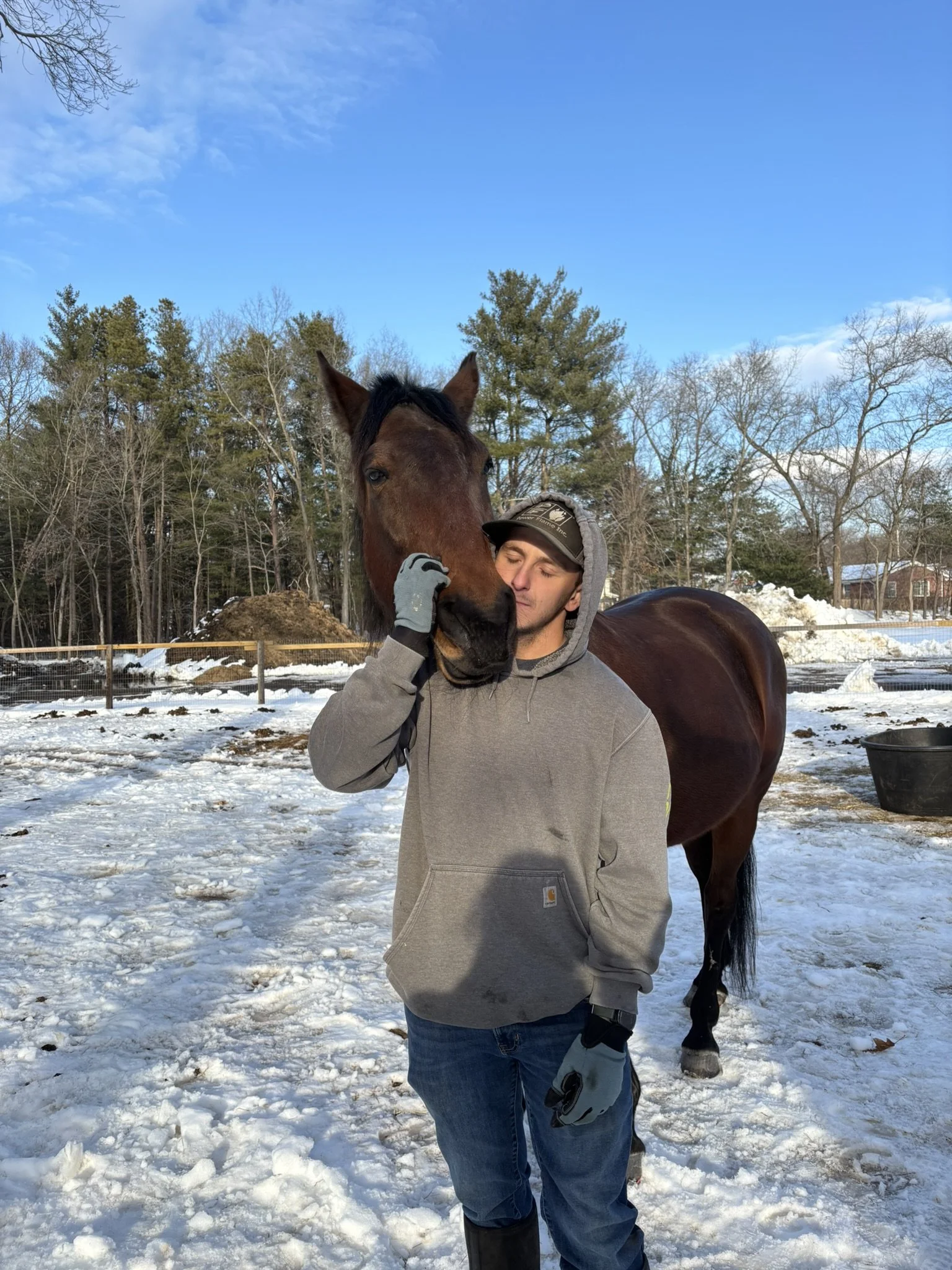 A man in a gray hoodie and jeans stands outside touching noses with a brown horse in a snowy field under a blue sky.