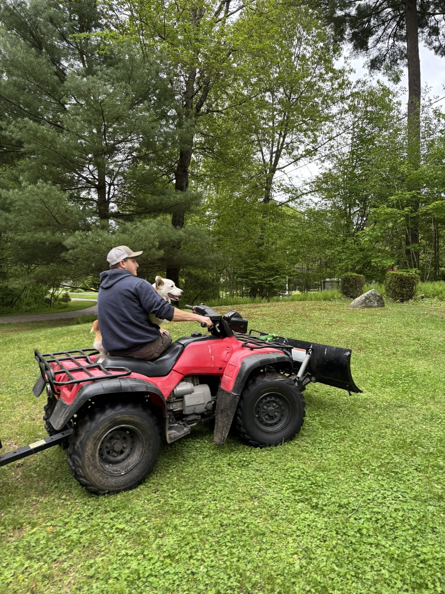 A person riding a red ATV with a corgi dog sitting behind them on the seat, in a grassy, tree-filled area.
