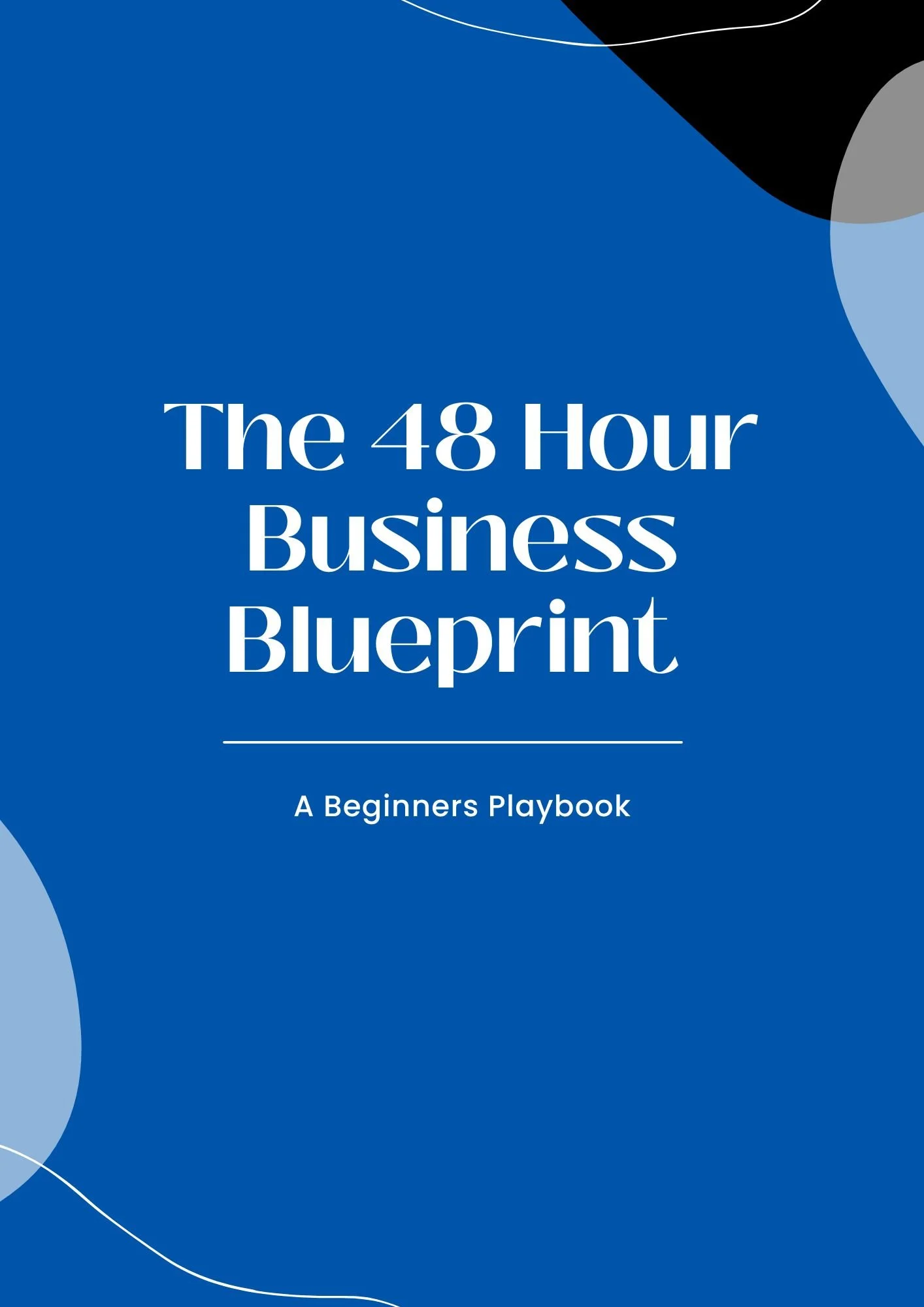 The 48-Hour Business Blueprint (Beginner’s Playbook)