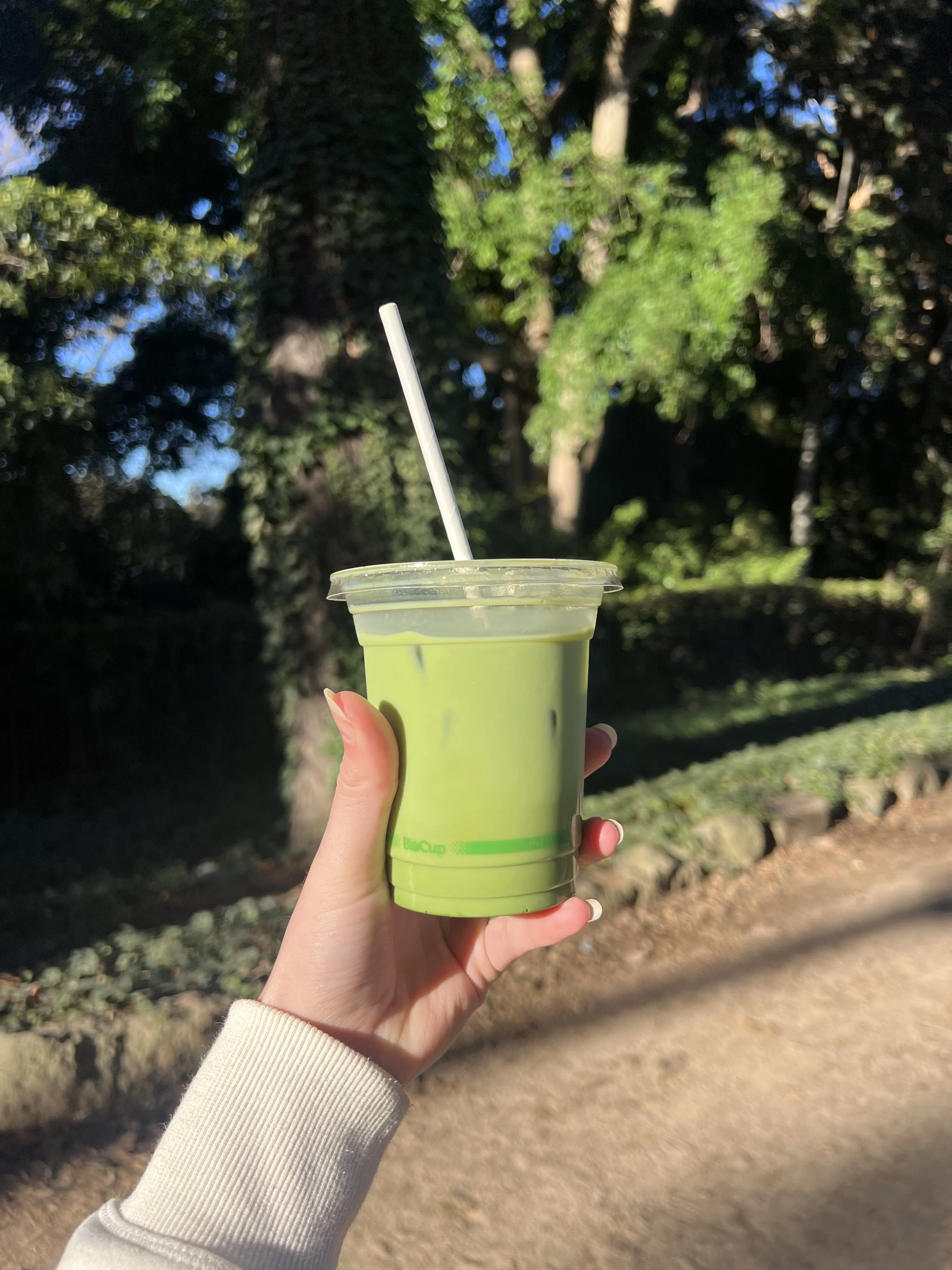 Person holding a green beverage in a clear plastic cup with a white straw outdoors in a park with trees and sunlight.