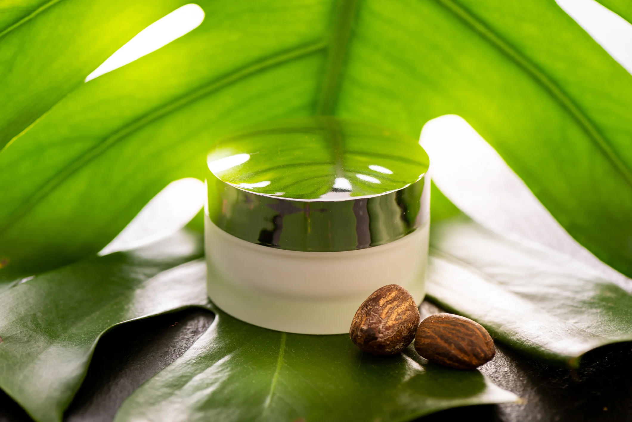 A skincare cream jar with a reflective silver lid, placed on tropical green leaves with two brown nut-like objects beside it.
