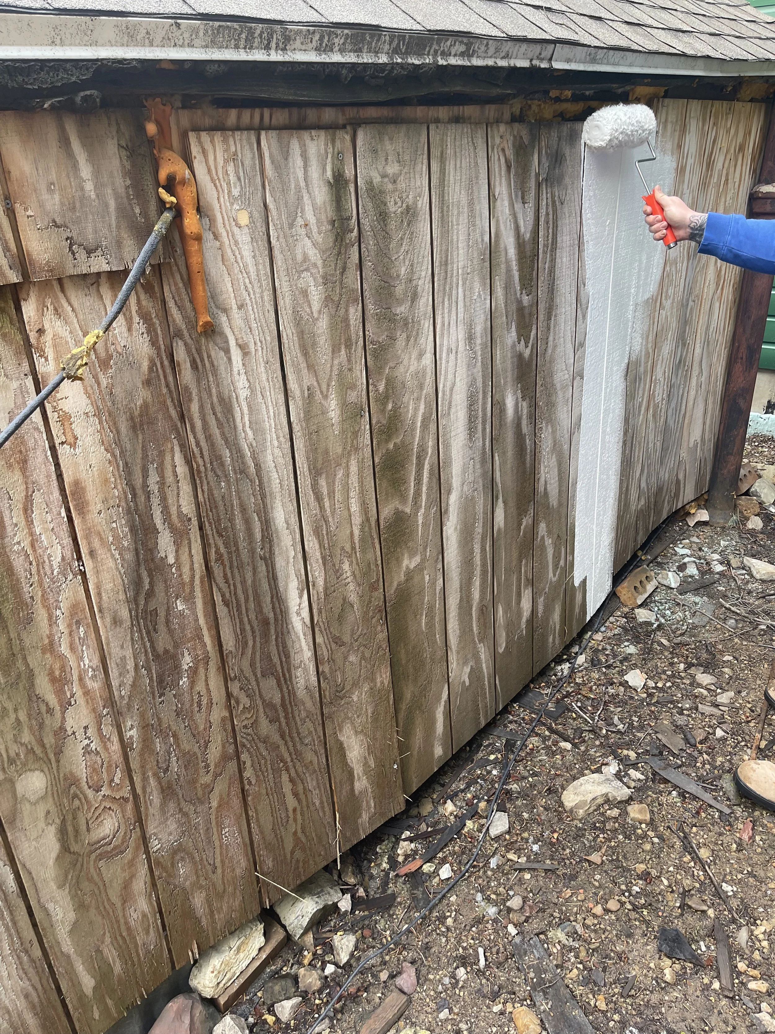 A person is painting the wooden exterior wall of a shed with white paint using a roller brush. The person is wearing a blue long-sleeve shirt and has a visible tattoo on their wrist.
