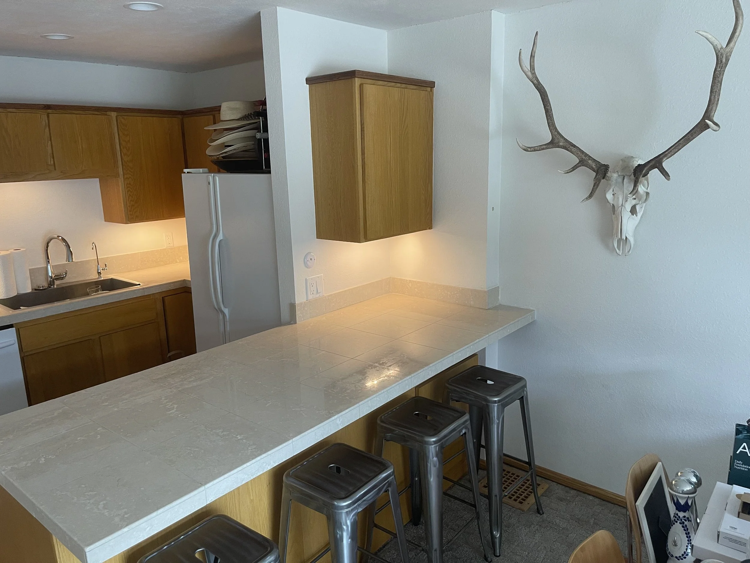 Kitchen with wooden cabinets, a white refrigerator, and a kitchen counter with four metal bar stools. Mounted on the wall is a white skull with antlers.