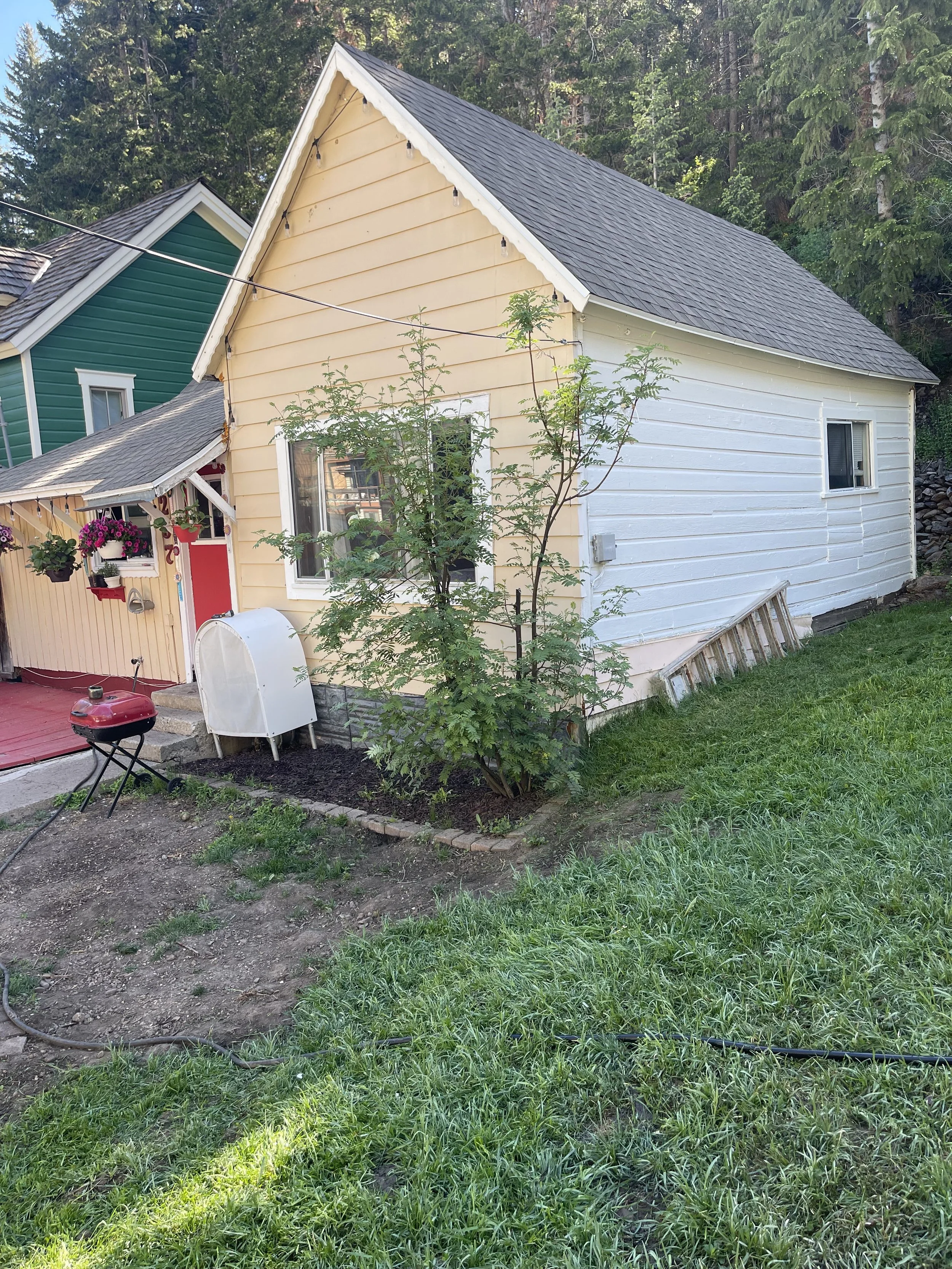 A house painted in cream and white with a gray shingled roof, located in a grassy yard with small trees and a garden bed. There are hanging flower baskets near a front porch, and a white mailbox next to a small garden bed with young plants. A ladder 