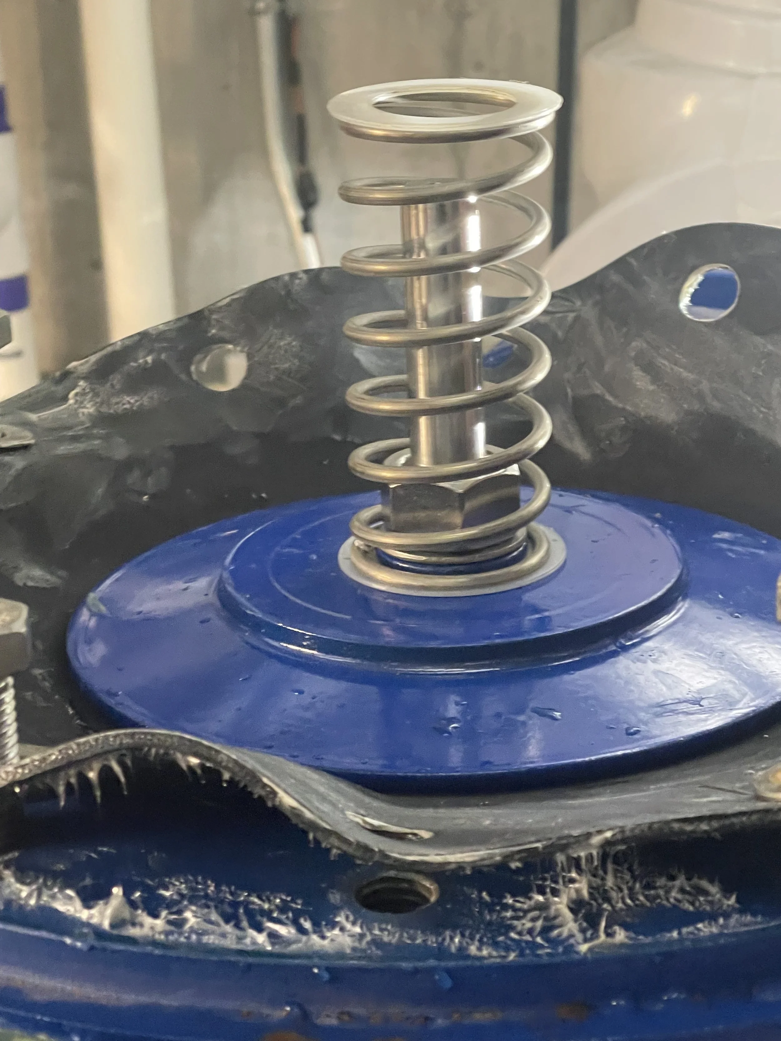 Close-up of a motorcycle shock absorber spring and blue coil spring mount.