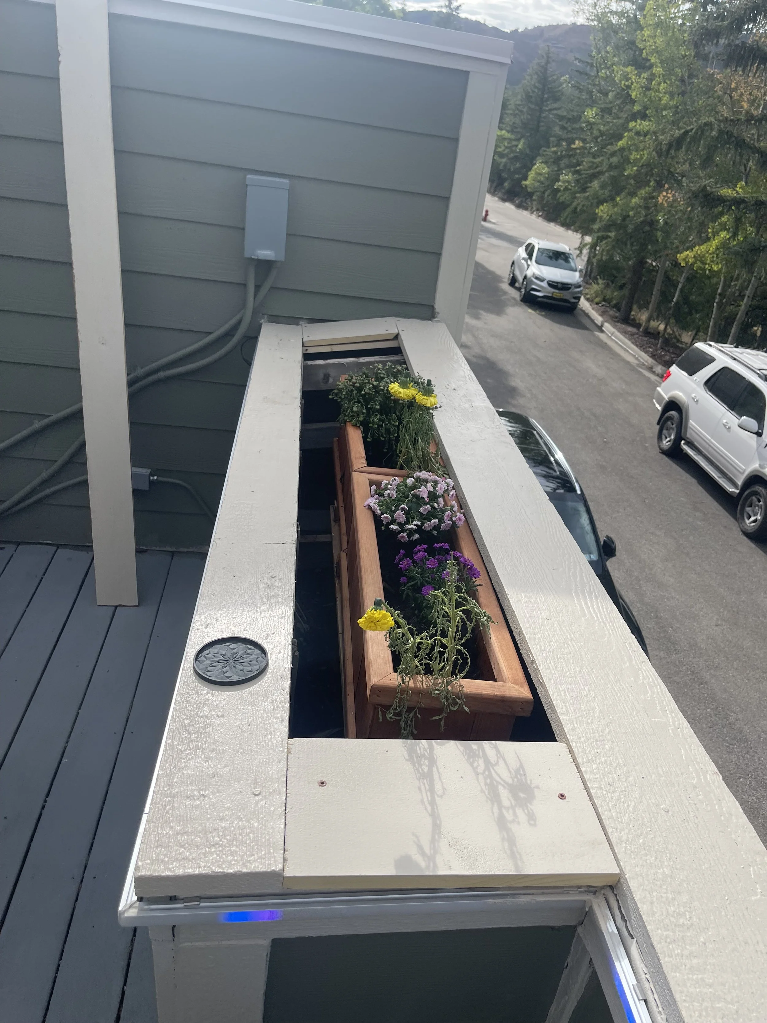 View of a balcony with a rectangular wooden flower box containing pink, purple, and yellow flowers, overlooking a parked car and a green wooded area.