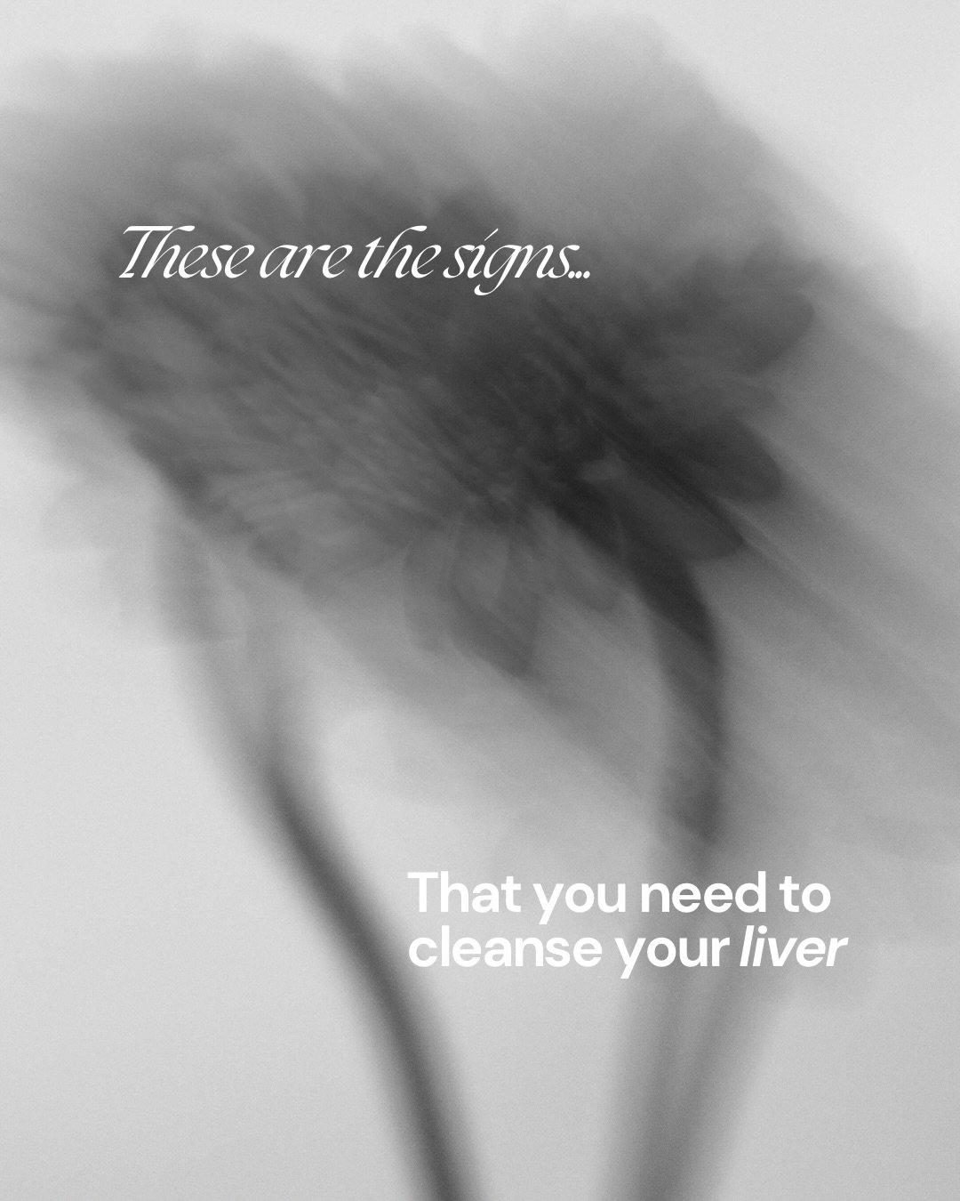 Your body is always communicating.
These signs aren&rsquo;t random, they&rsquo;re signals your detox pathways may need support.

Gentle, intentional support can help restore balance, reduce load, and bring things back into flow.