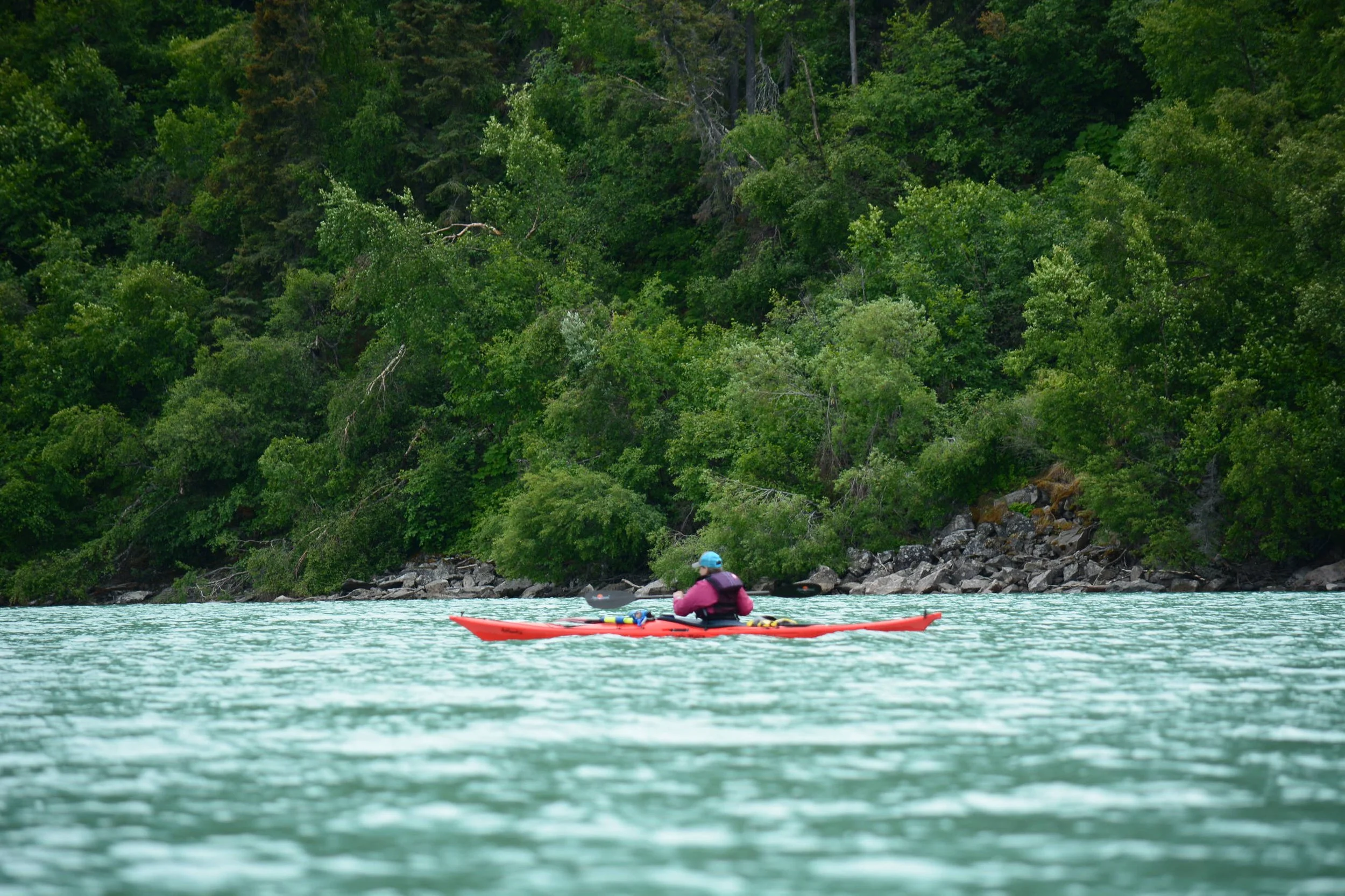 Person kayaking on a body of water next to a dense green forest.