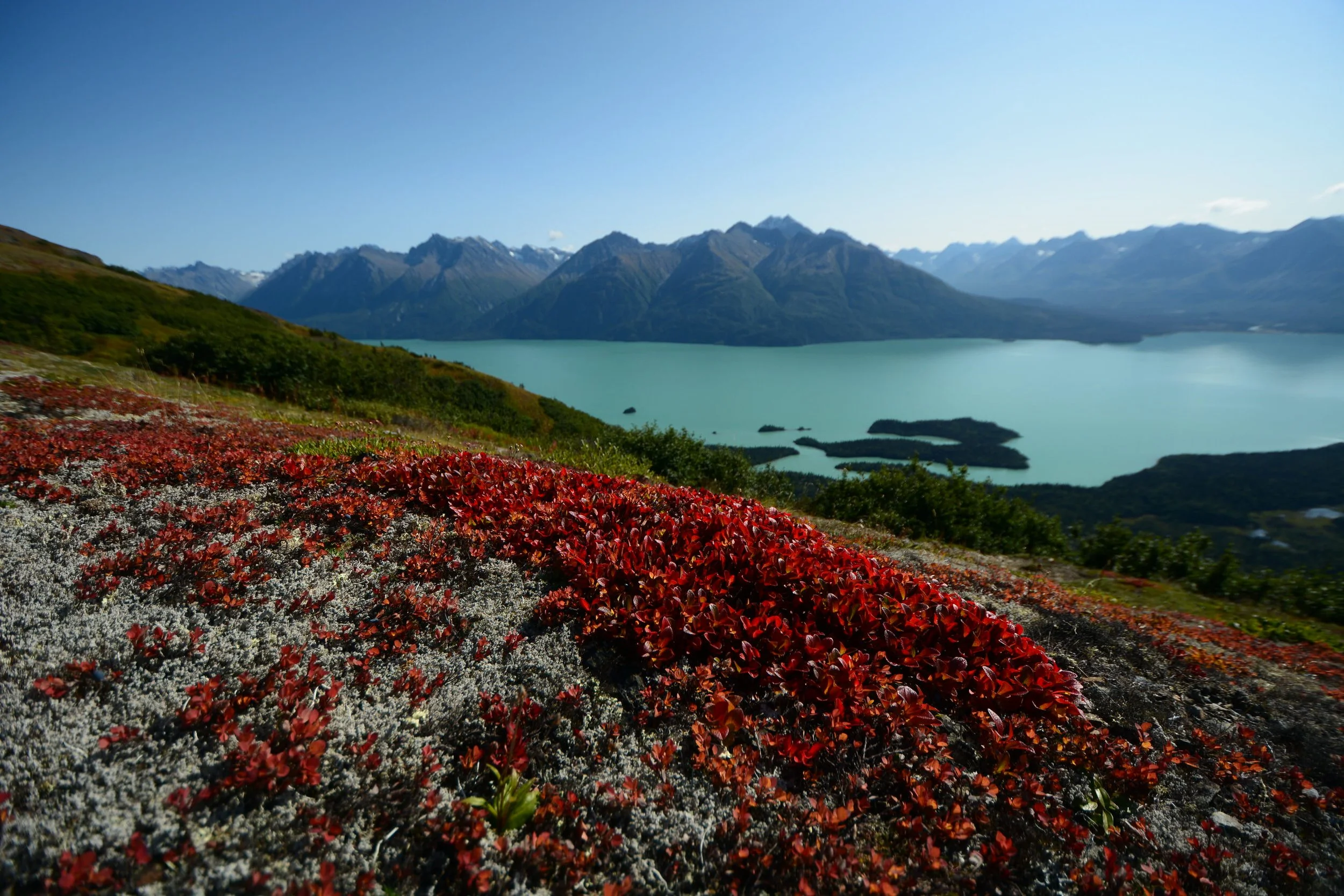 Views of Lake Clark from Portage Creek Trail