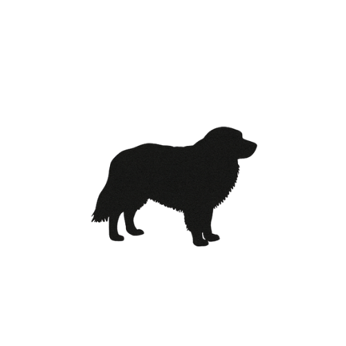 Film House Riley - Brand Photographer in Palm Springs