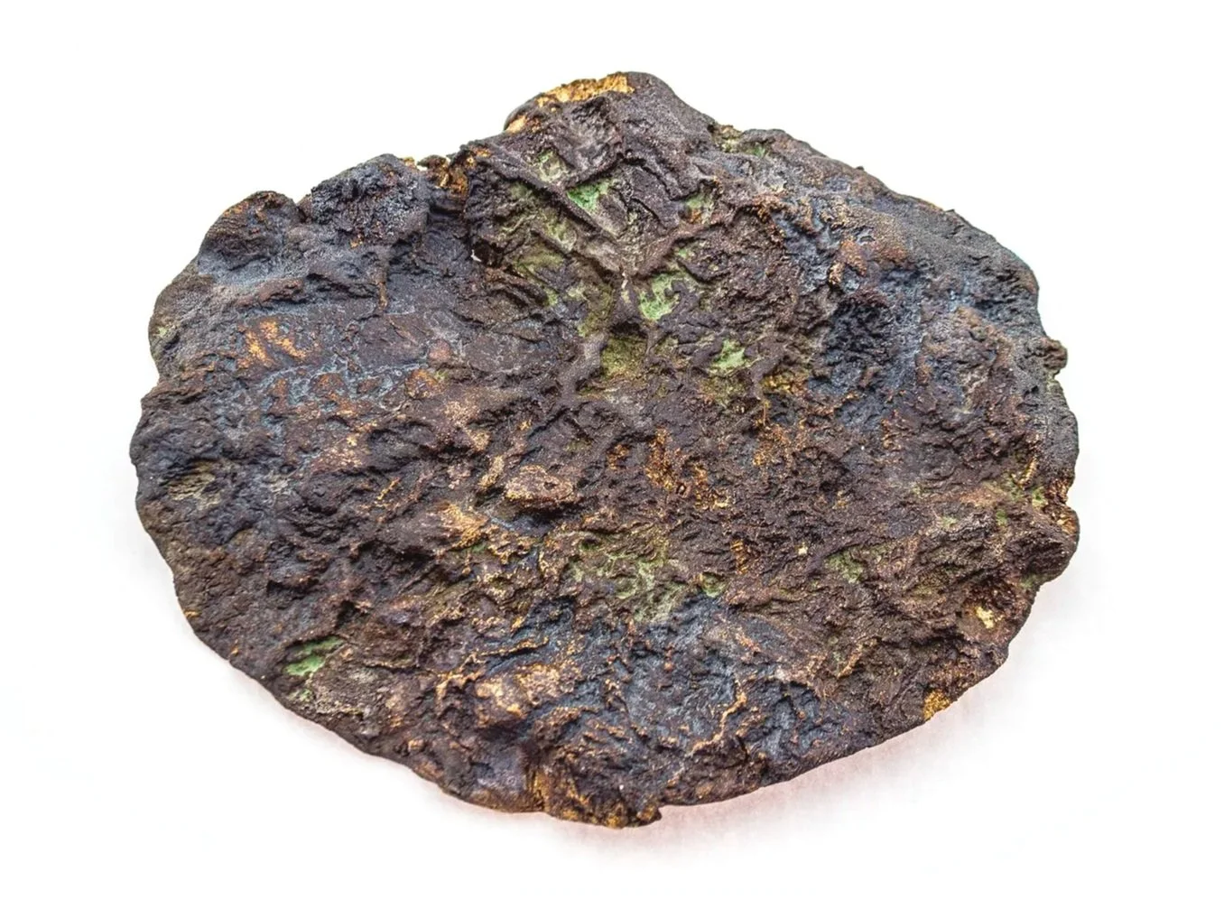 Skin Impressions: Oak Tree, 2026, Ceramic, 8 x 10 x .5in