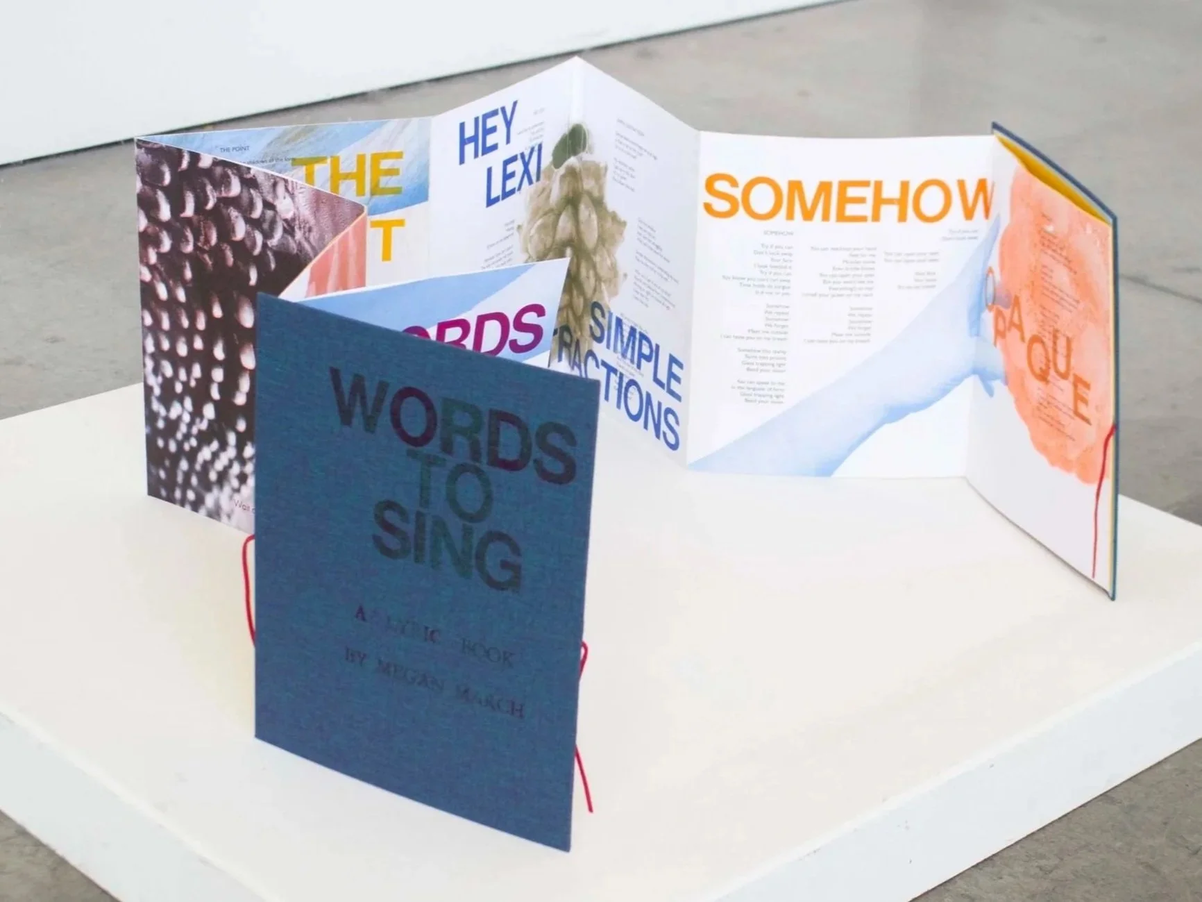Words To Sing, 2025,
Risograph and letterpress printed lyric accordion book
