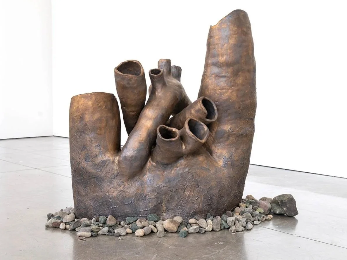 Vena Cava, 2025
Ceramic, San Pablo Bay shore rock (primarily blueschist and serpentine)
34 x 46 x 27in