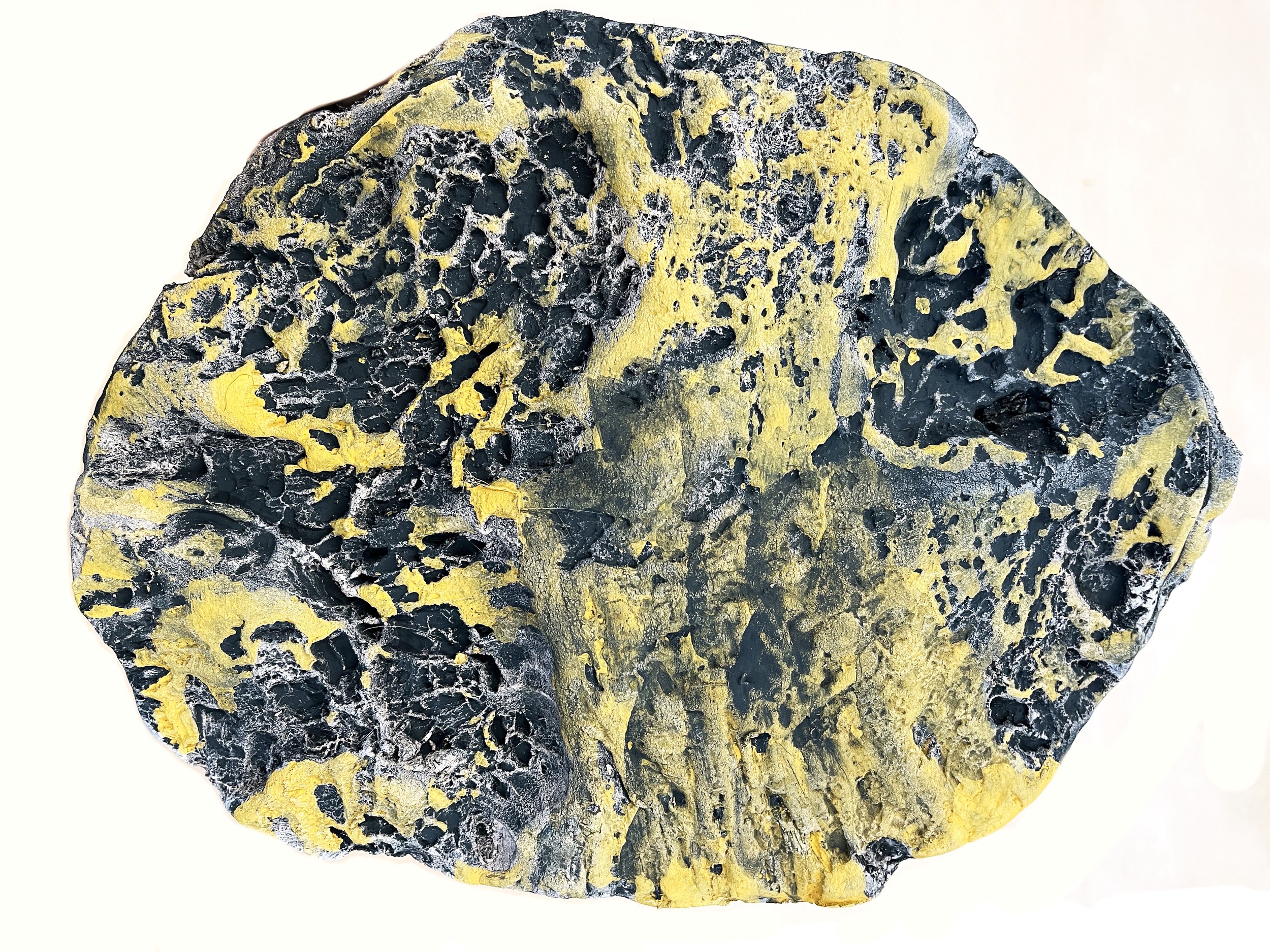 Skin Impressions: Oak Tree, 2026, 
Ceramic, 
6 x 8 x .5in
