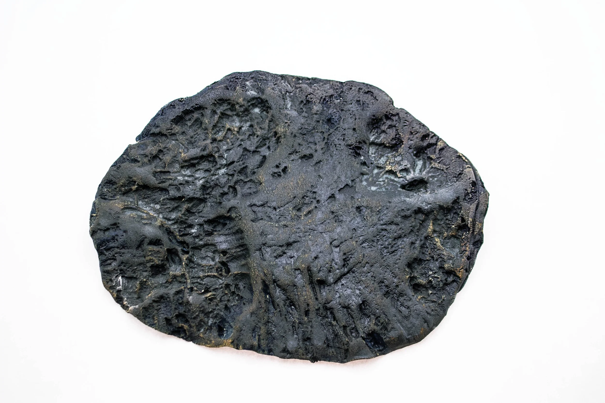 Skin Impressions: Oak Tree in Black, 2026, Ceramic, 8 x 10 x .5in