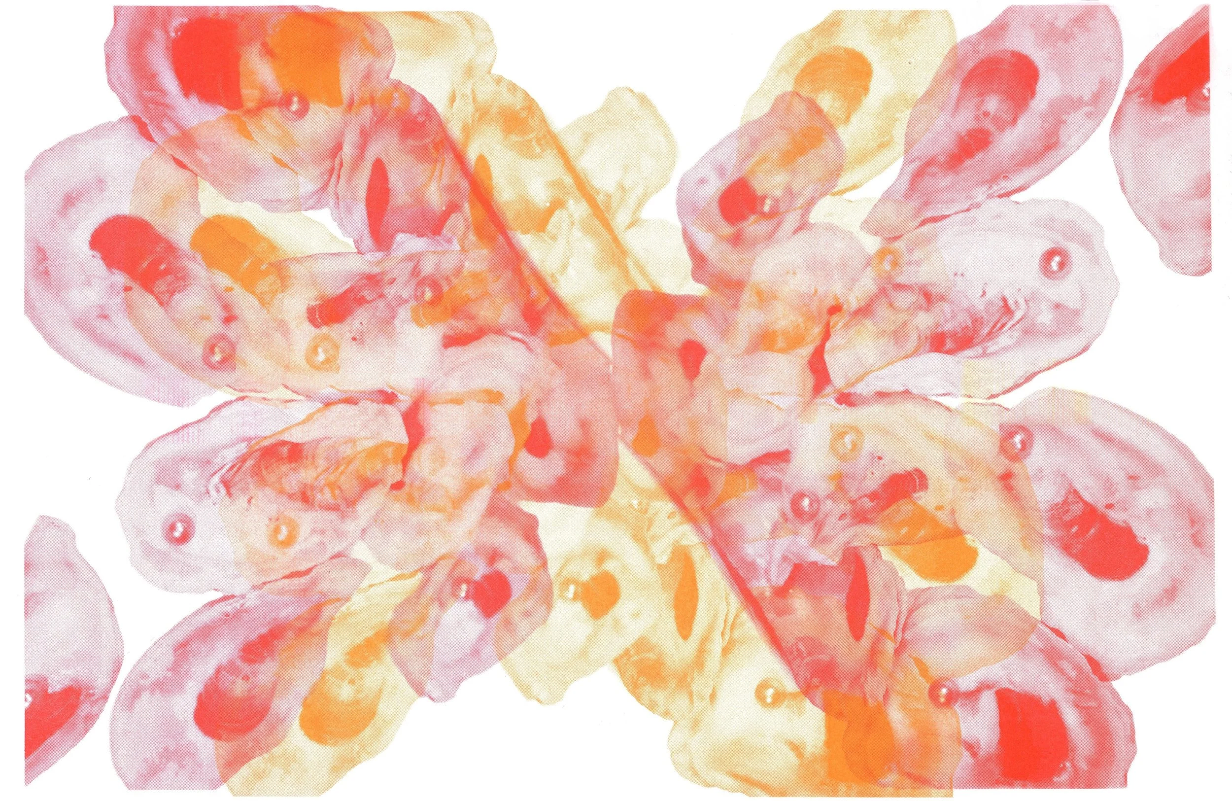 Pearls, 2026, Risograph, 11 x 17in