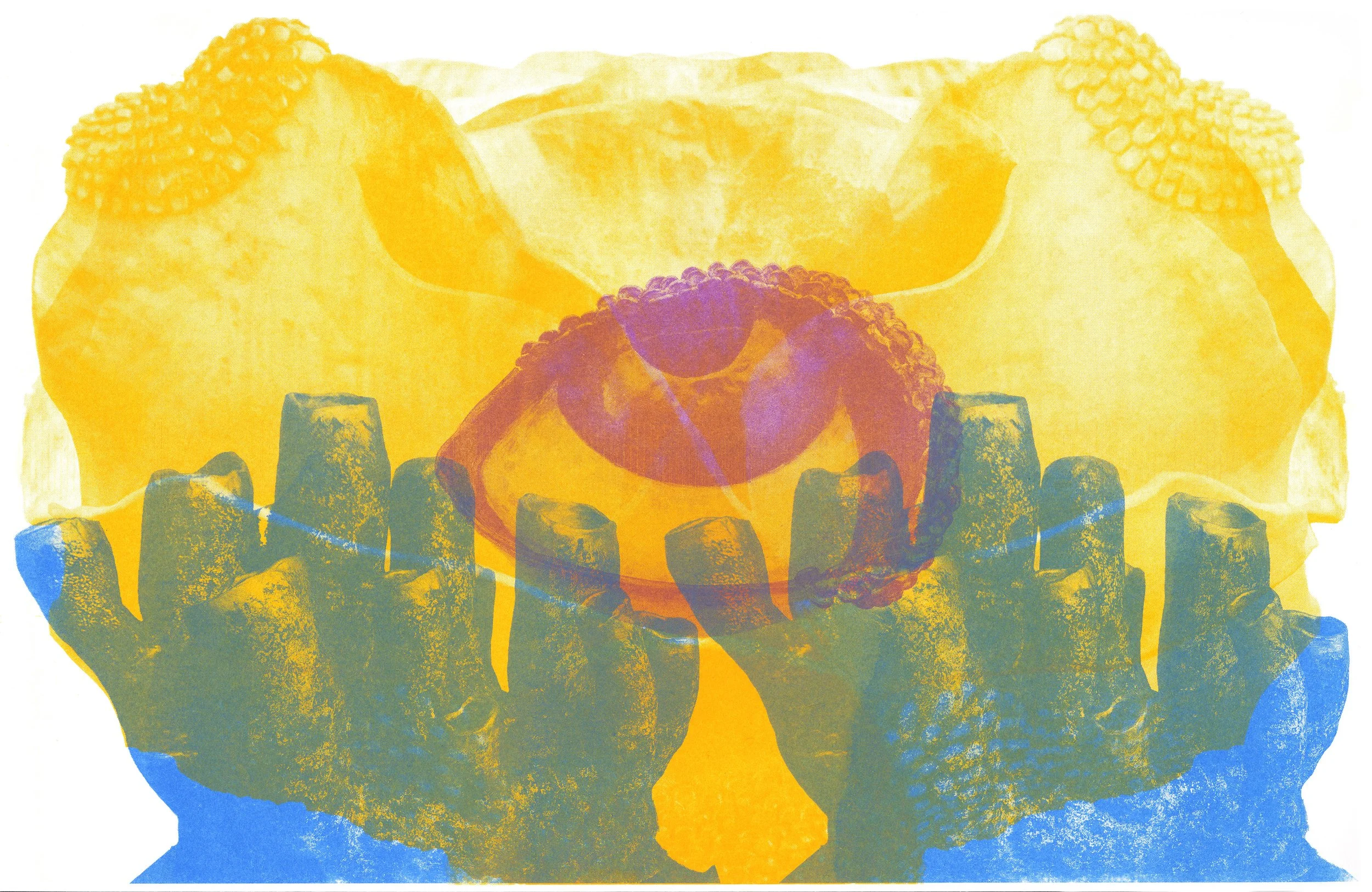 Wild Landscape, 2026, Risograph print, 11 x 17in