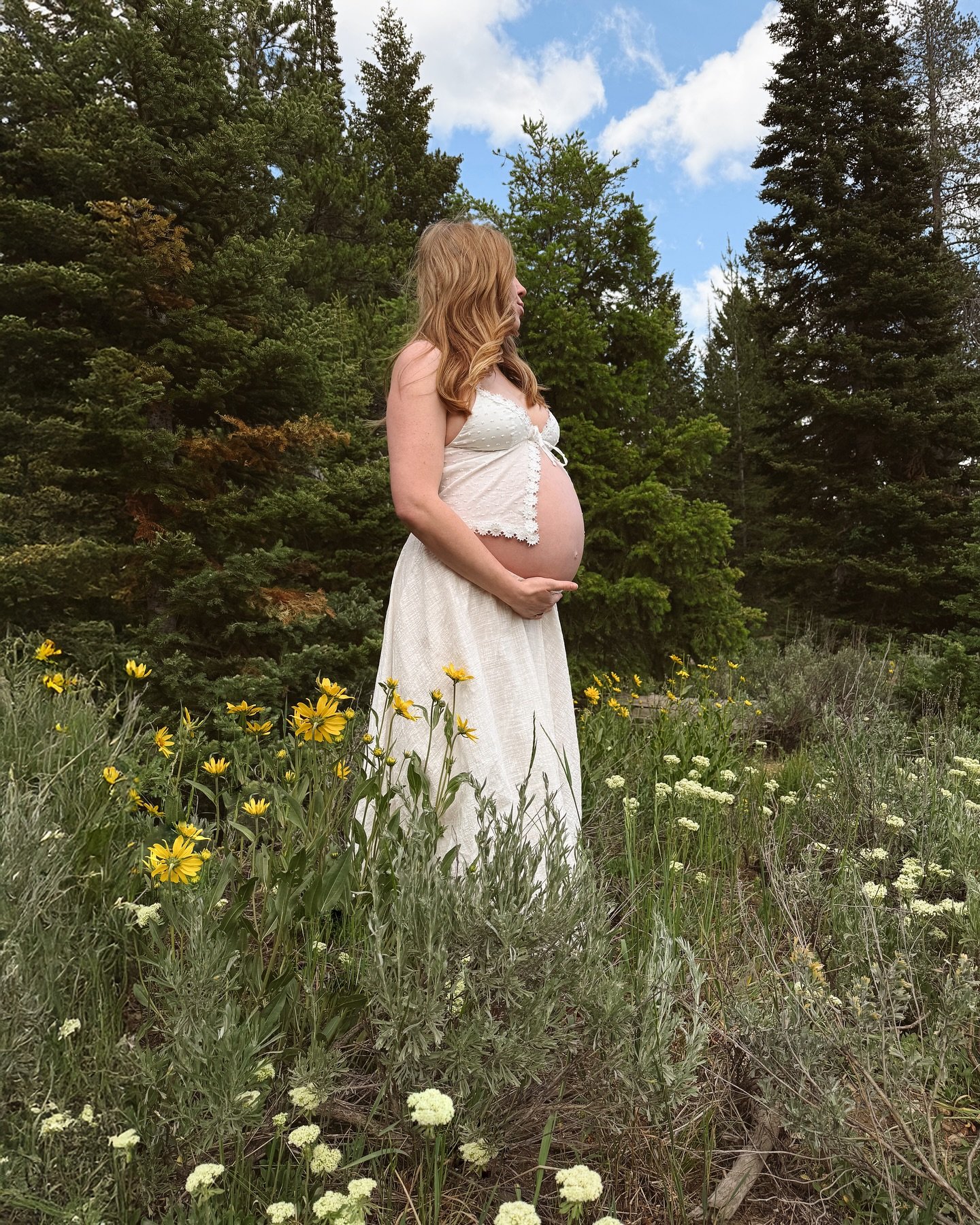 blooming as the solstice lingers 🌼