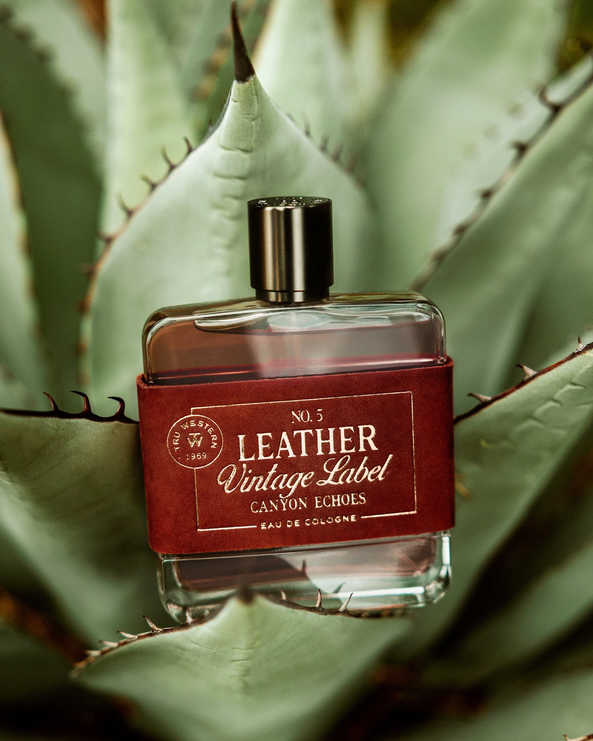 No. 5 Leather Vintage Label: Canyon Echoes nested in the spined green leaves of an agave, its red suede label catching light.
