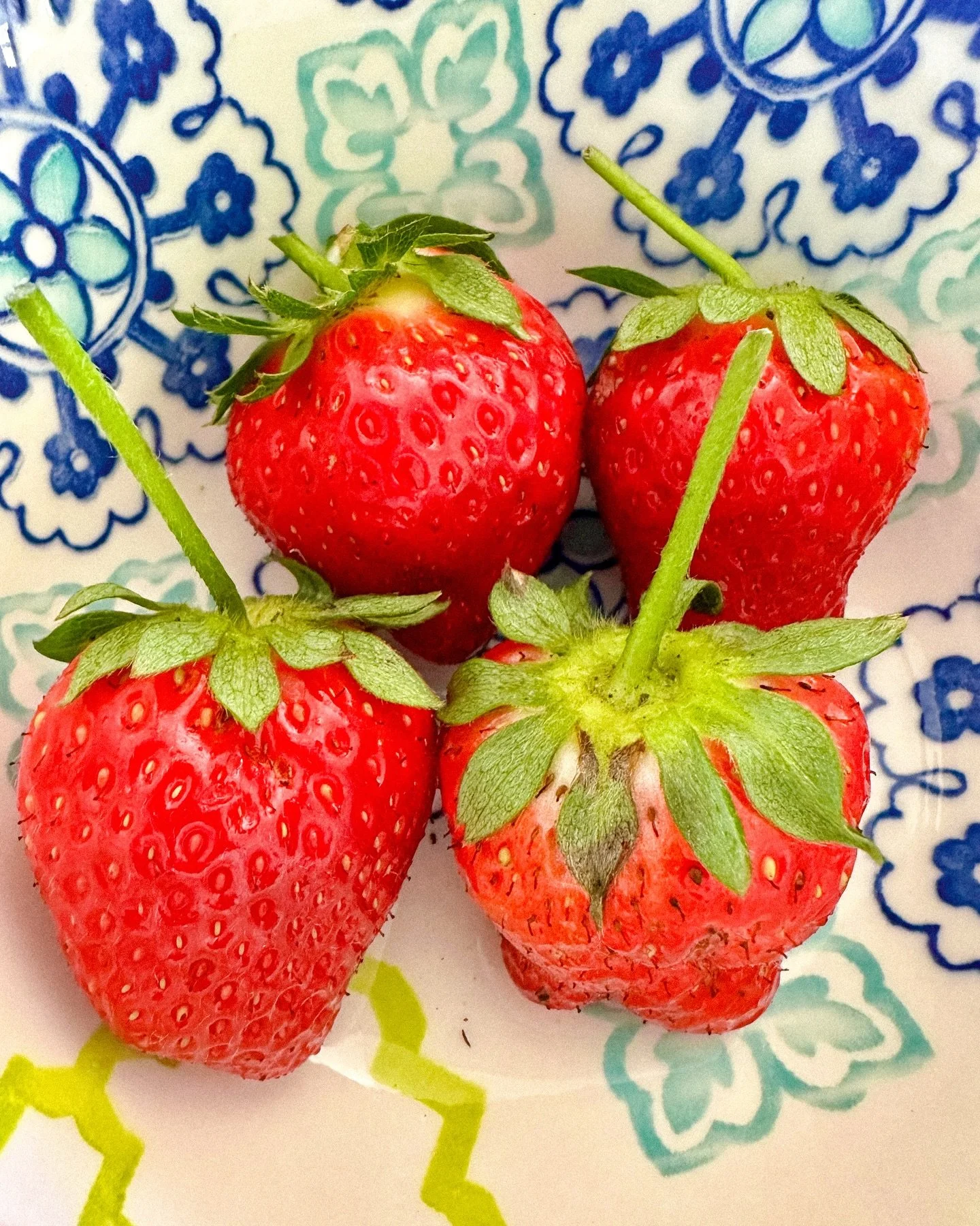 I almost pulled this plant out last year.
It looked tired like it had nothing left to give.

But I left it.
Watered it. Waited. Hoped a little.

And today&mdash;my first strawberries 🍓

It&rsquo;s a quiet reminder&hellip;
not everything blooms right