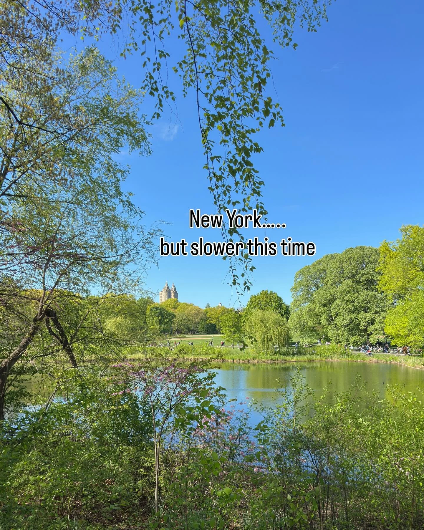 4 days in New York&hellip;
and somehow it felt quieter than I remember.

Less rushing.
More walking.
More noticing the trees, the light, the small moments in between.

I think I&rsquo;m learning how to experience places the same way I&rsquo;m learnin