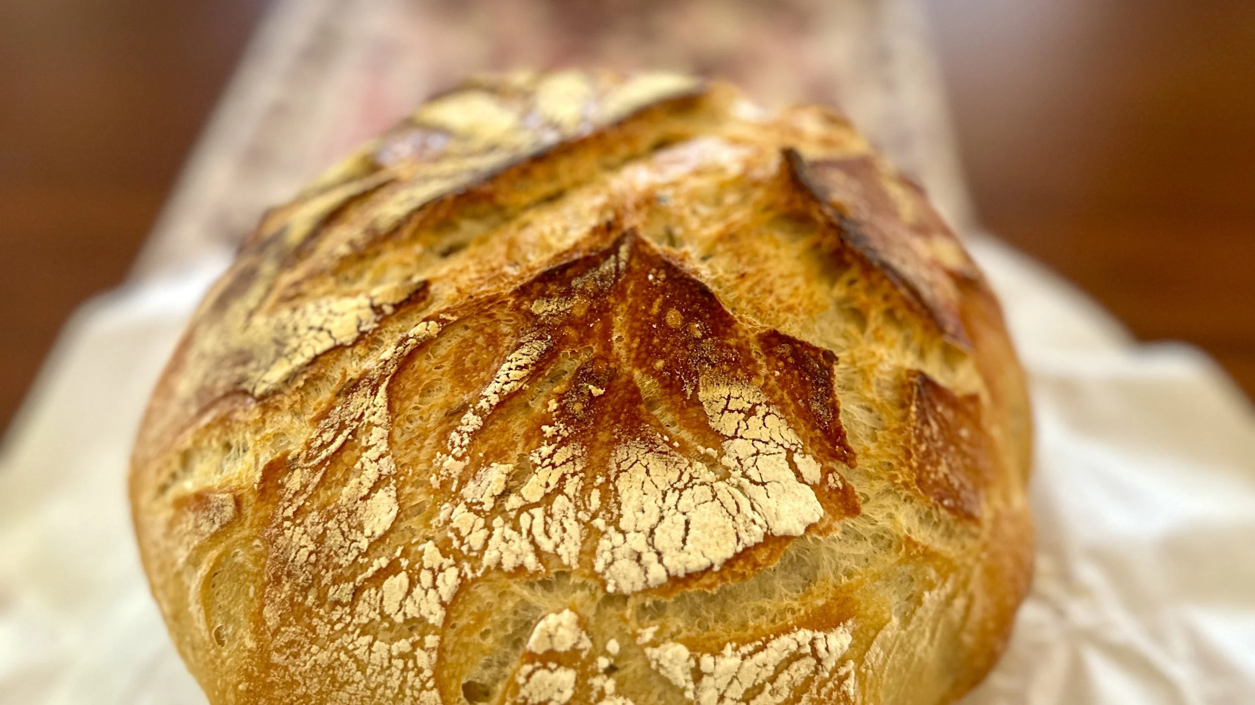 How I Fell Into the Sourdough Rabbit Hole 
