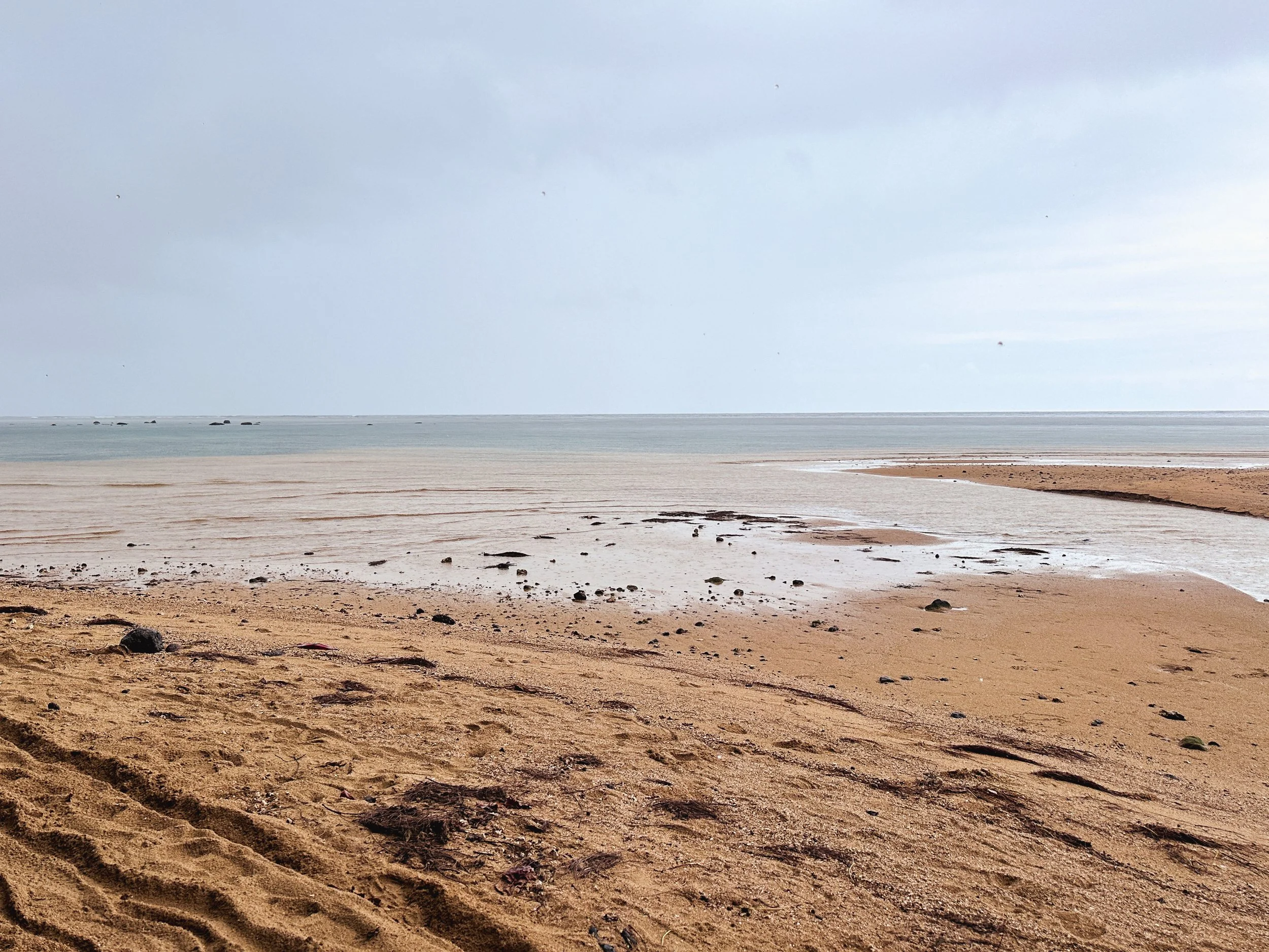 Chia Sage - Digital Brand Direction