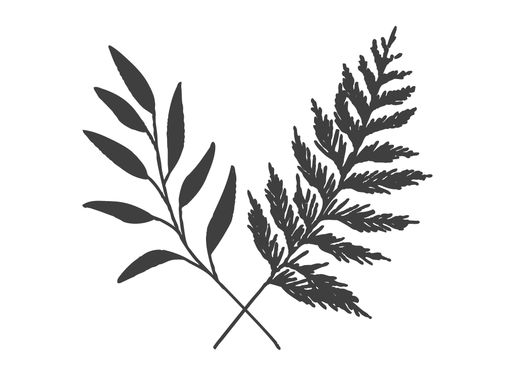 'sage and cedar' mark