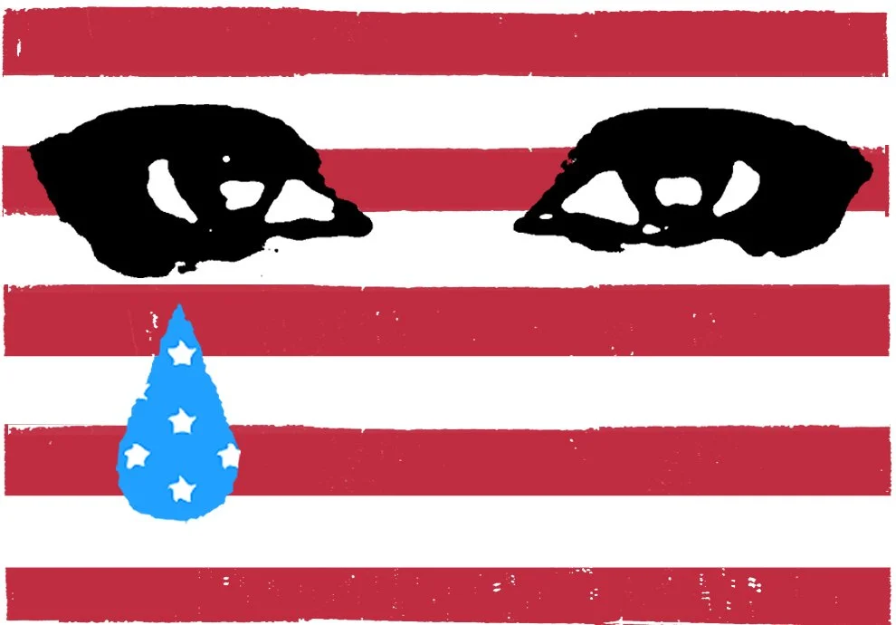 Illustration for Time Magazine. AD Skye Gurney Quinn