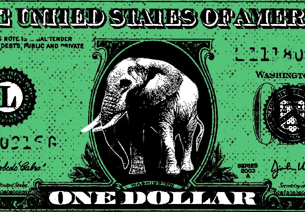 Illustration for Time Magazine. AD Skye Gurney Quinn