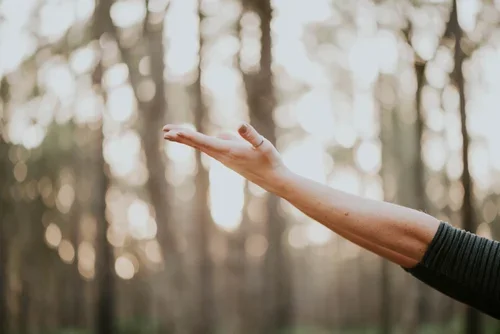 Wellness Checklist