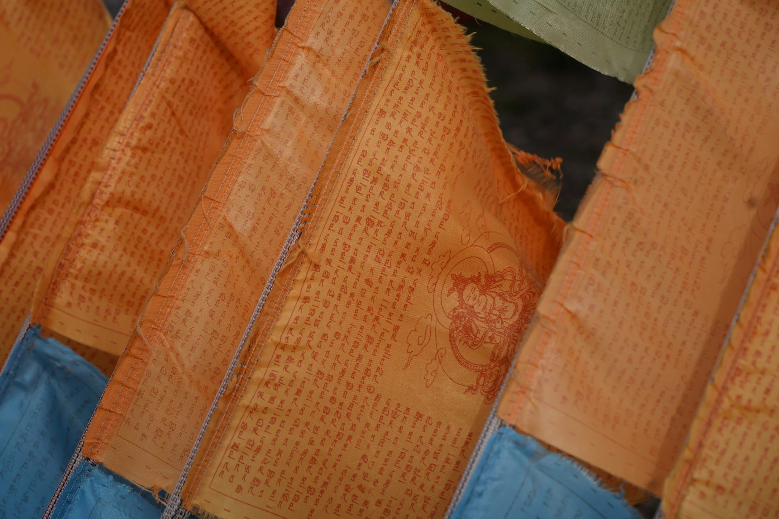 psychedelic preparation, integration, harm reduction