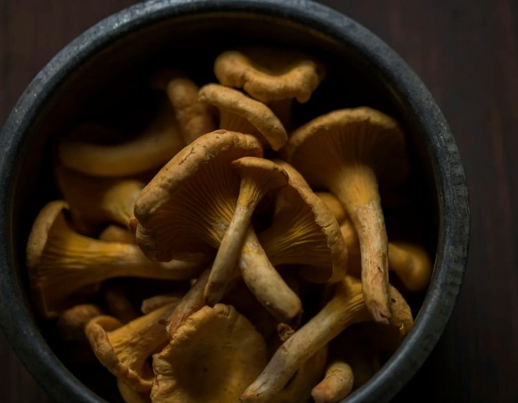 Psychedelic Harm Reduction and Integration