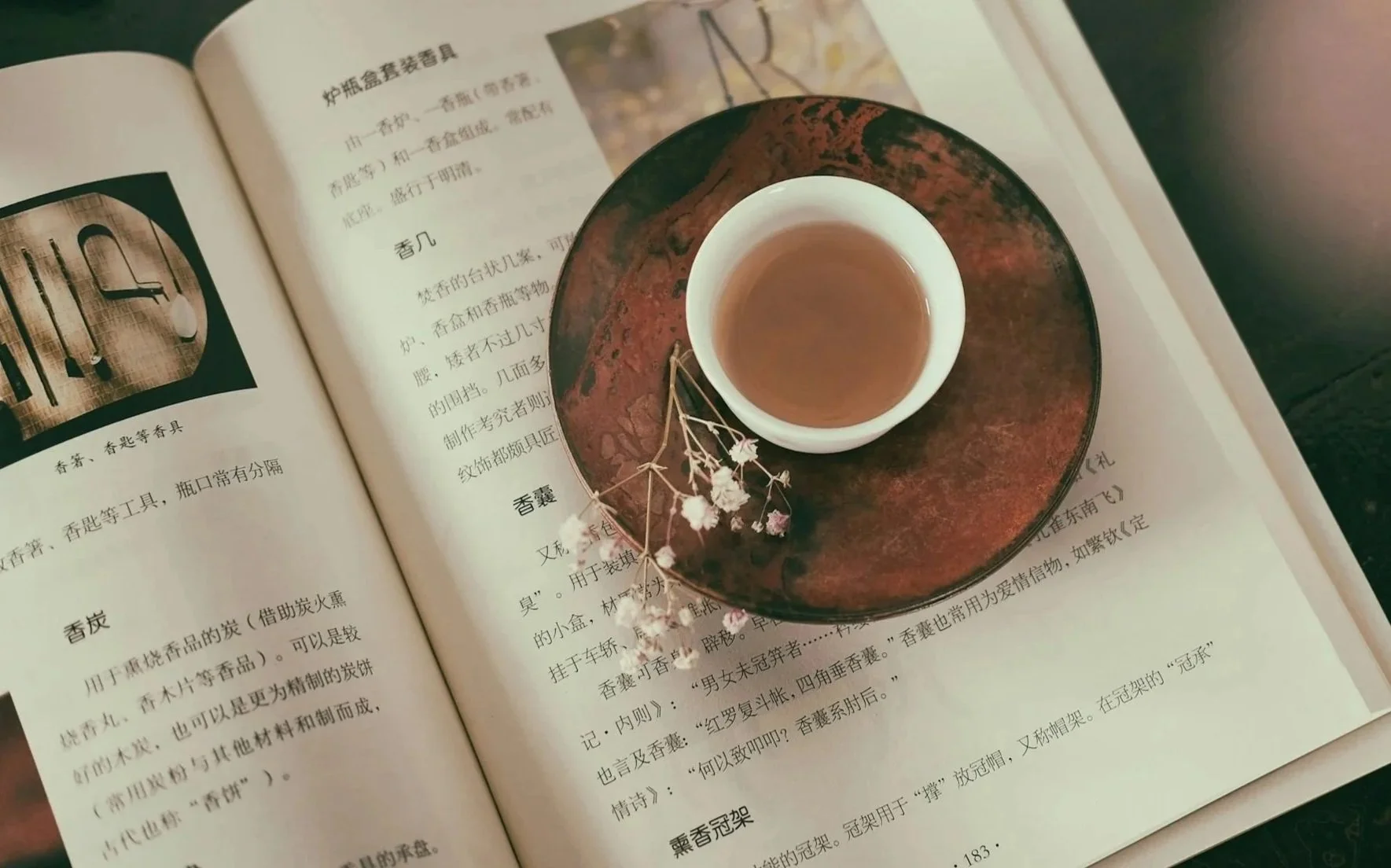 adoptee centered care, adoption literacy, adoption industrial complex, intersections of race, gender, sexuality, neurodiversity