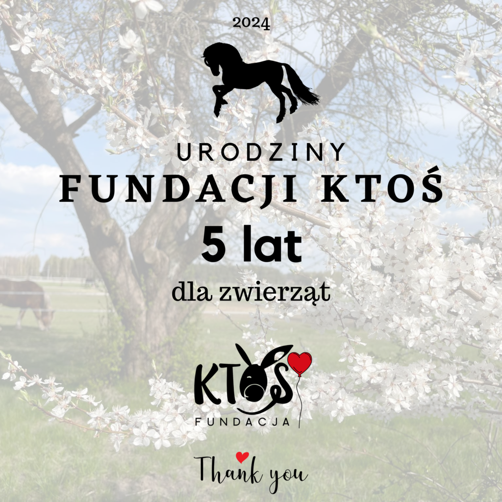 5 lat fundacji