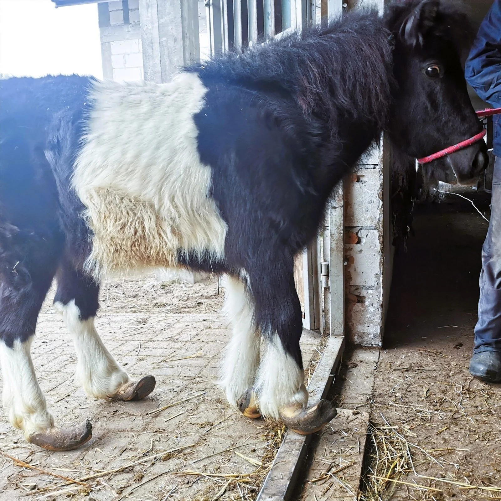 Mary tuż po interwencji
