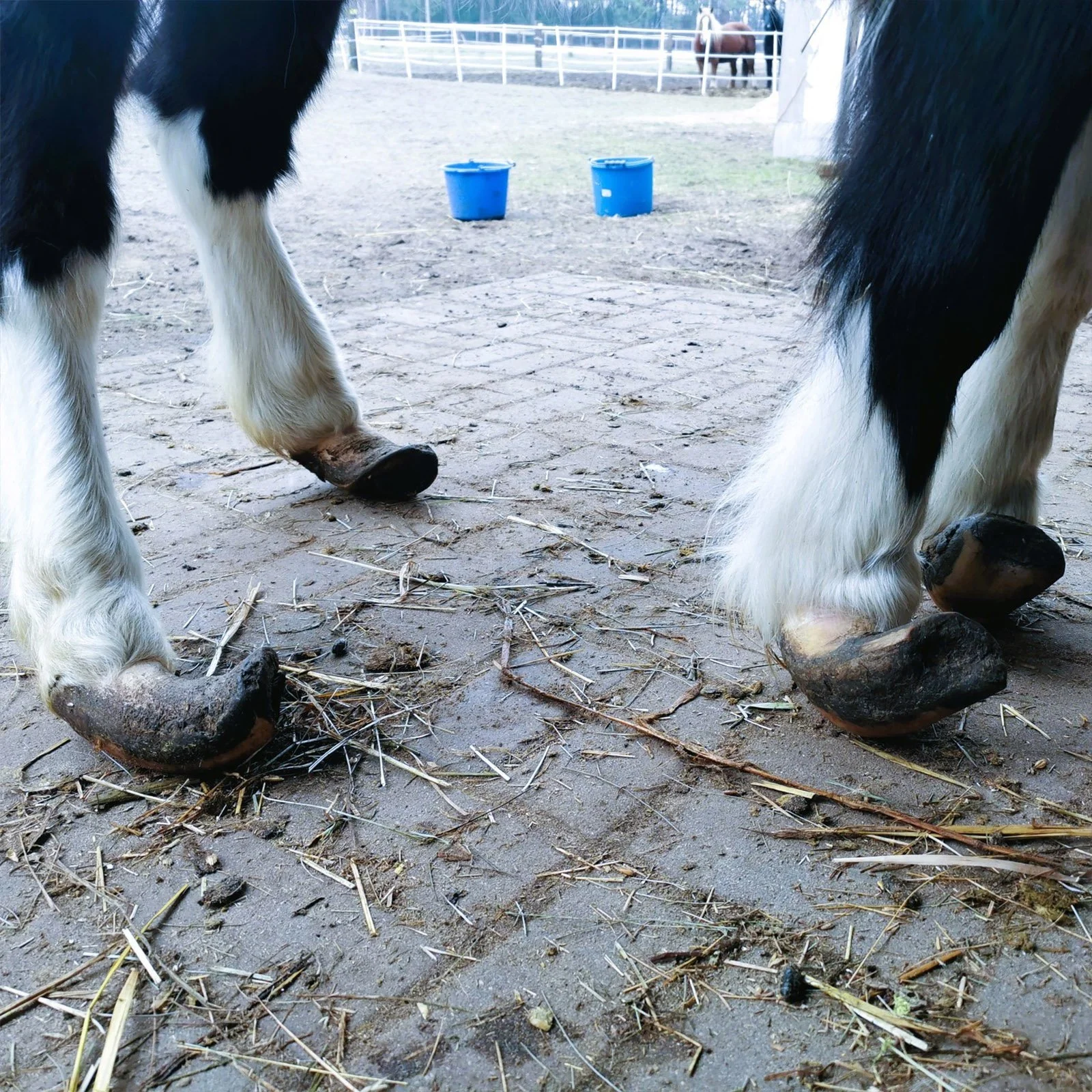 Mary tuż po interwencji