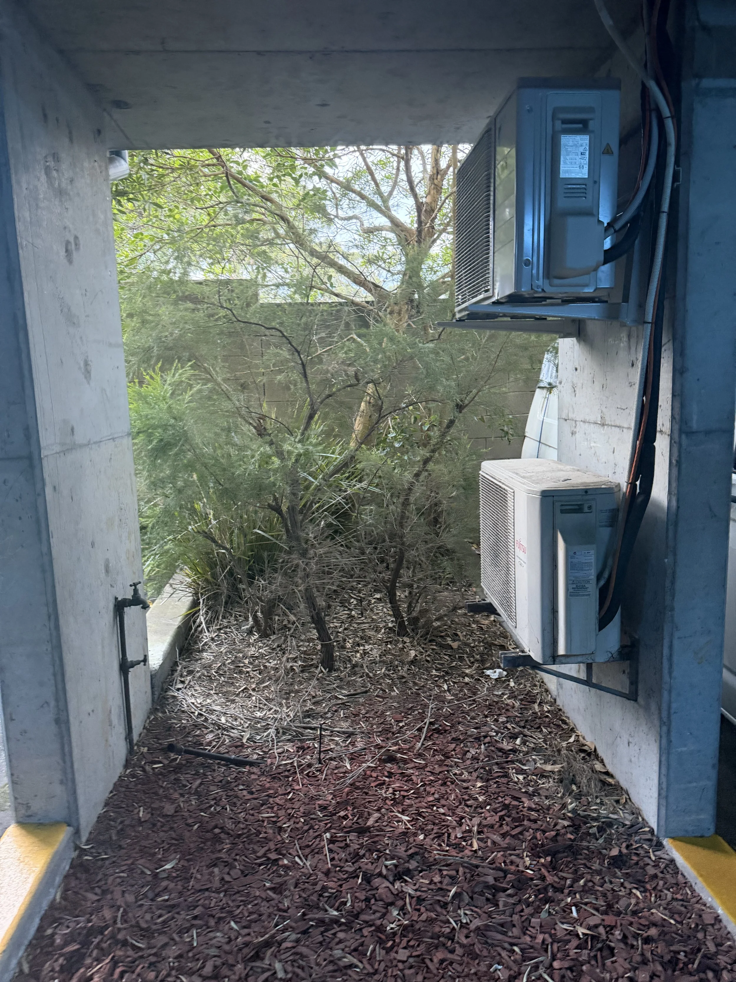 before strata garden clean up