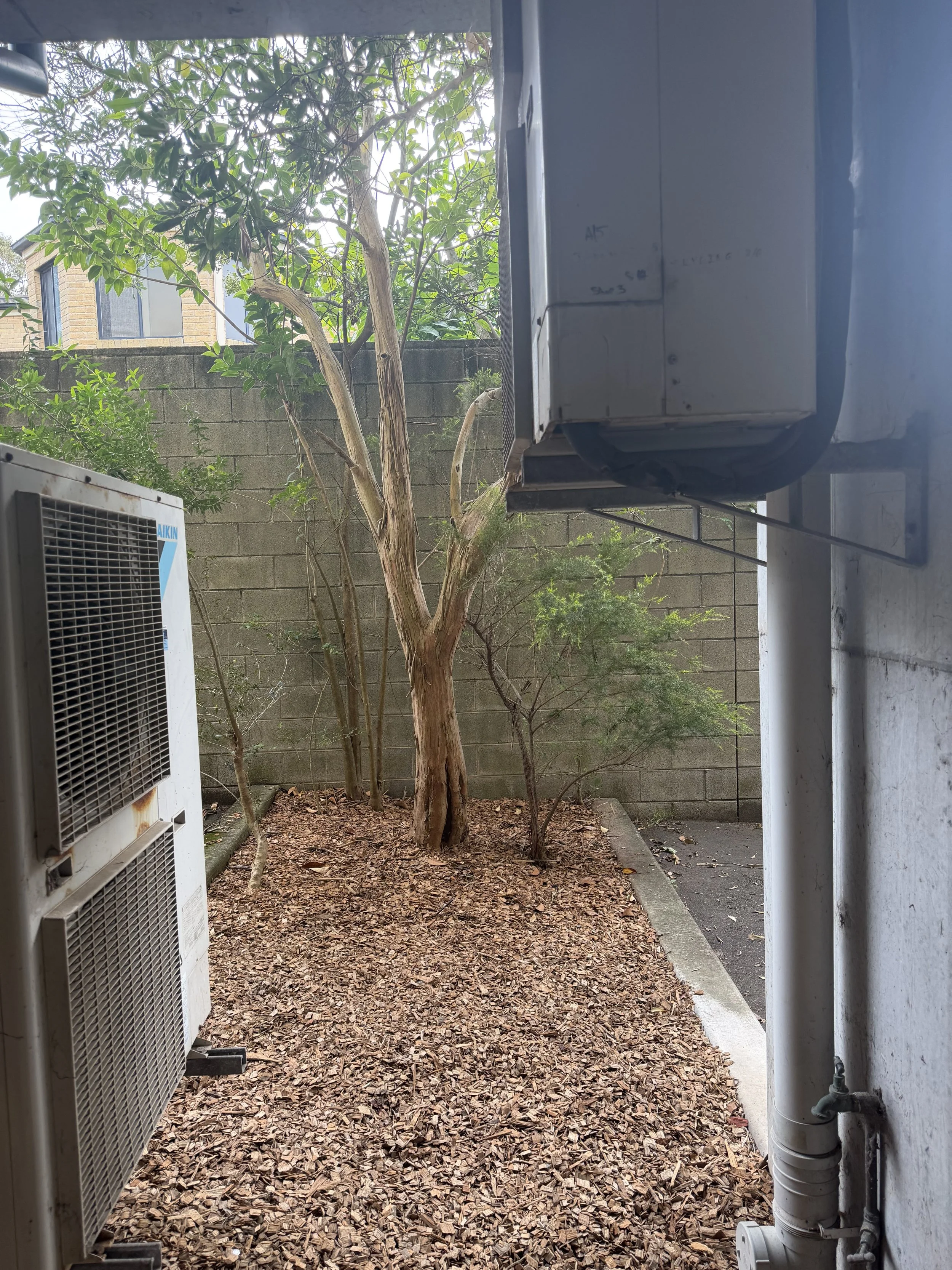 after strata garden clean up