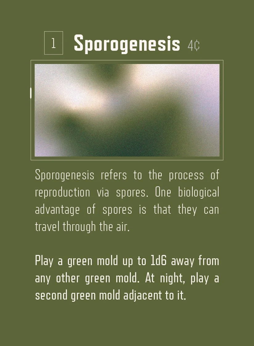 mold2_Sporogenesis.jpg