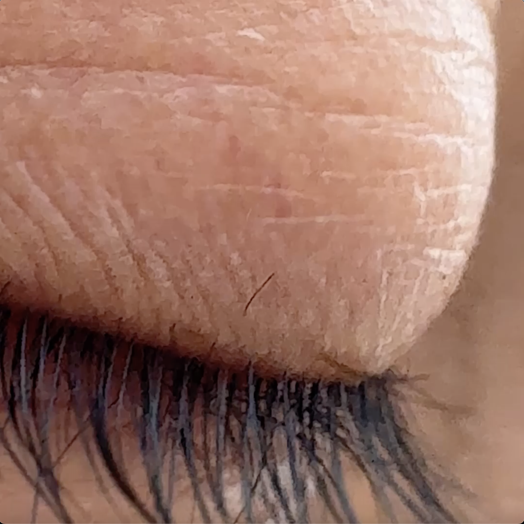 Transcript (unofficial winter 2025)