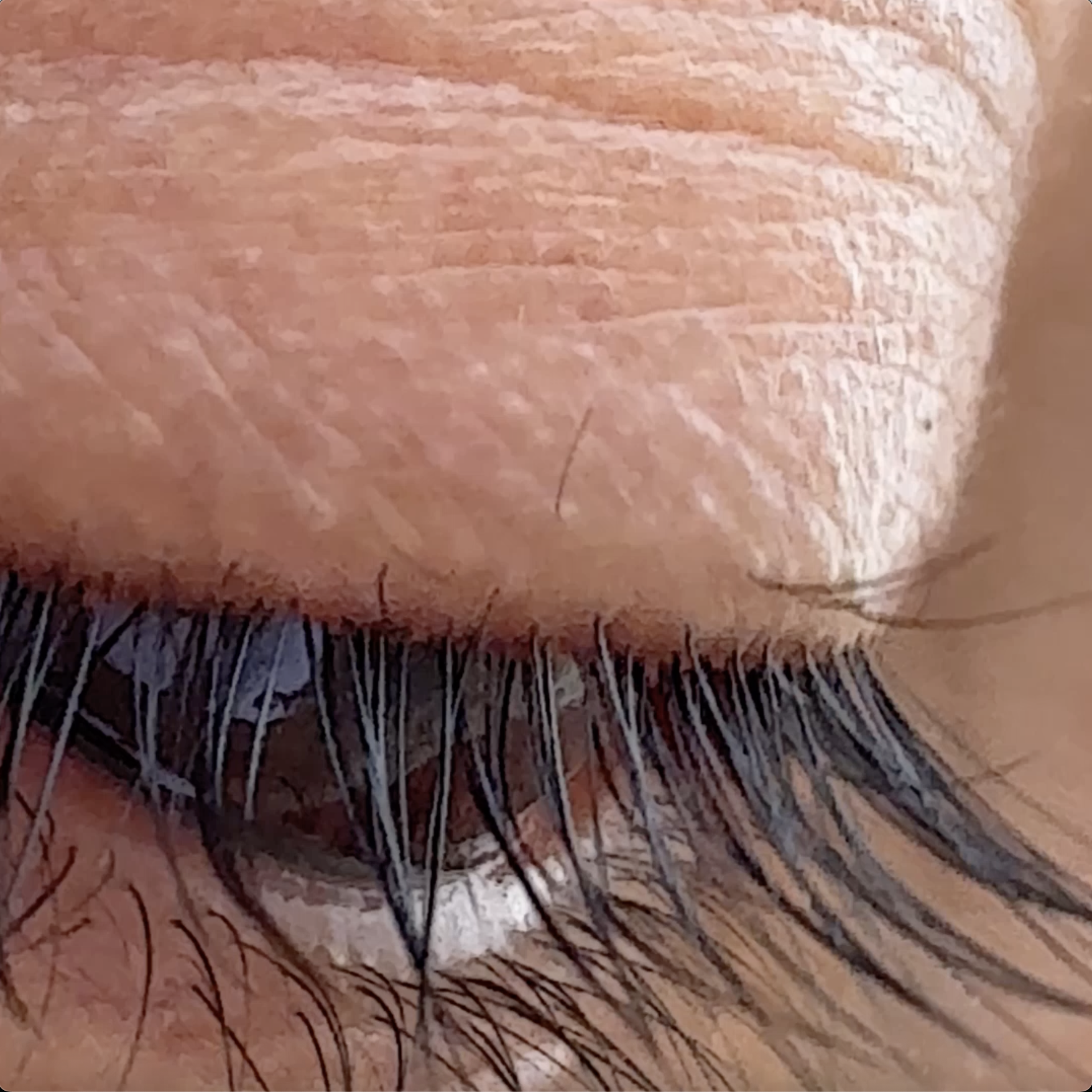 Letter of Recommendation